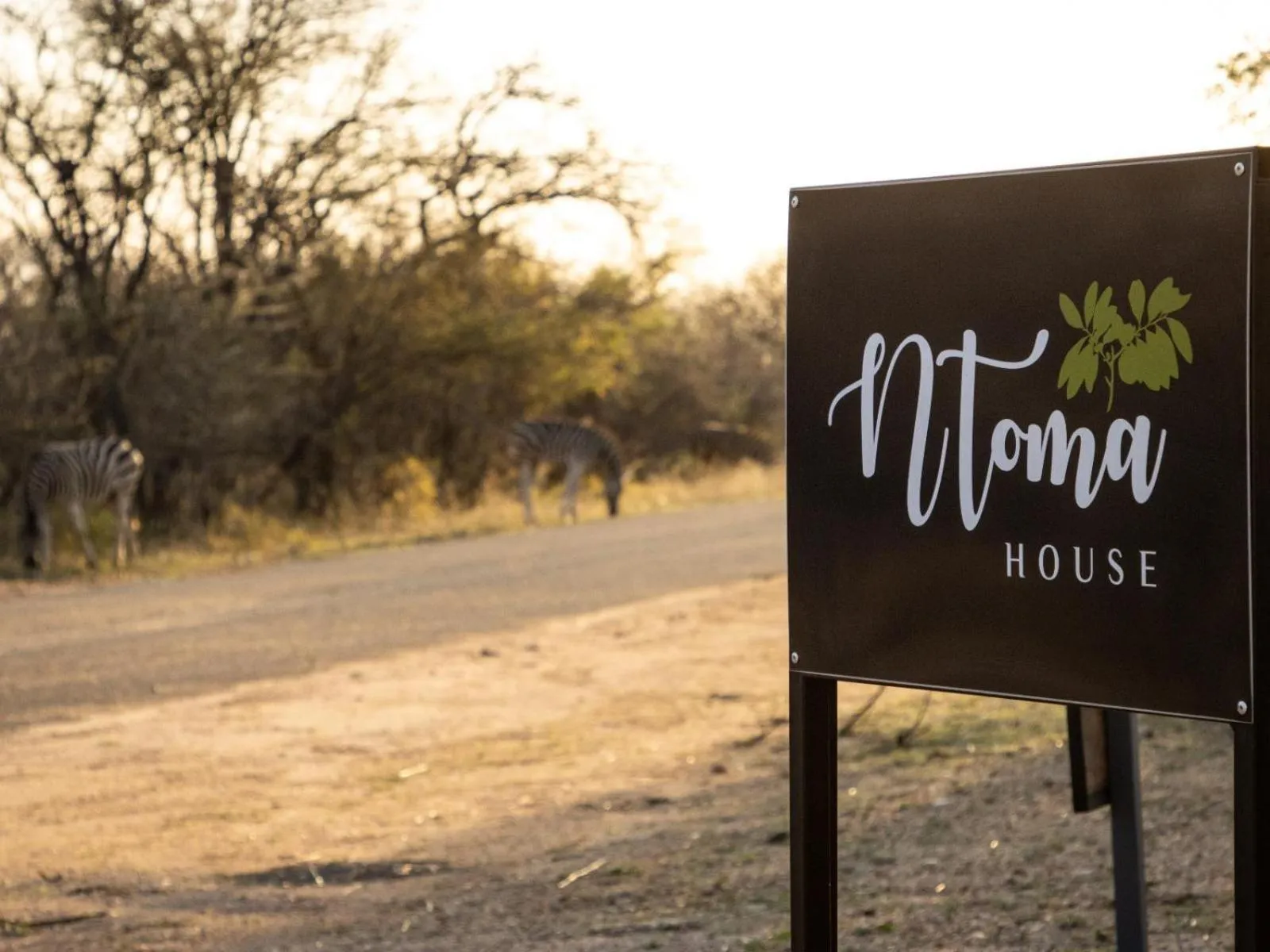 Facade/entrance in Ntoma House