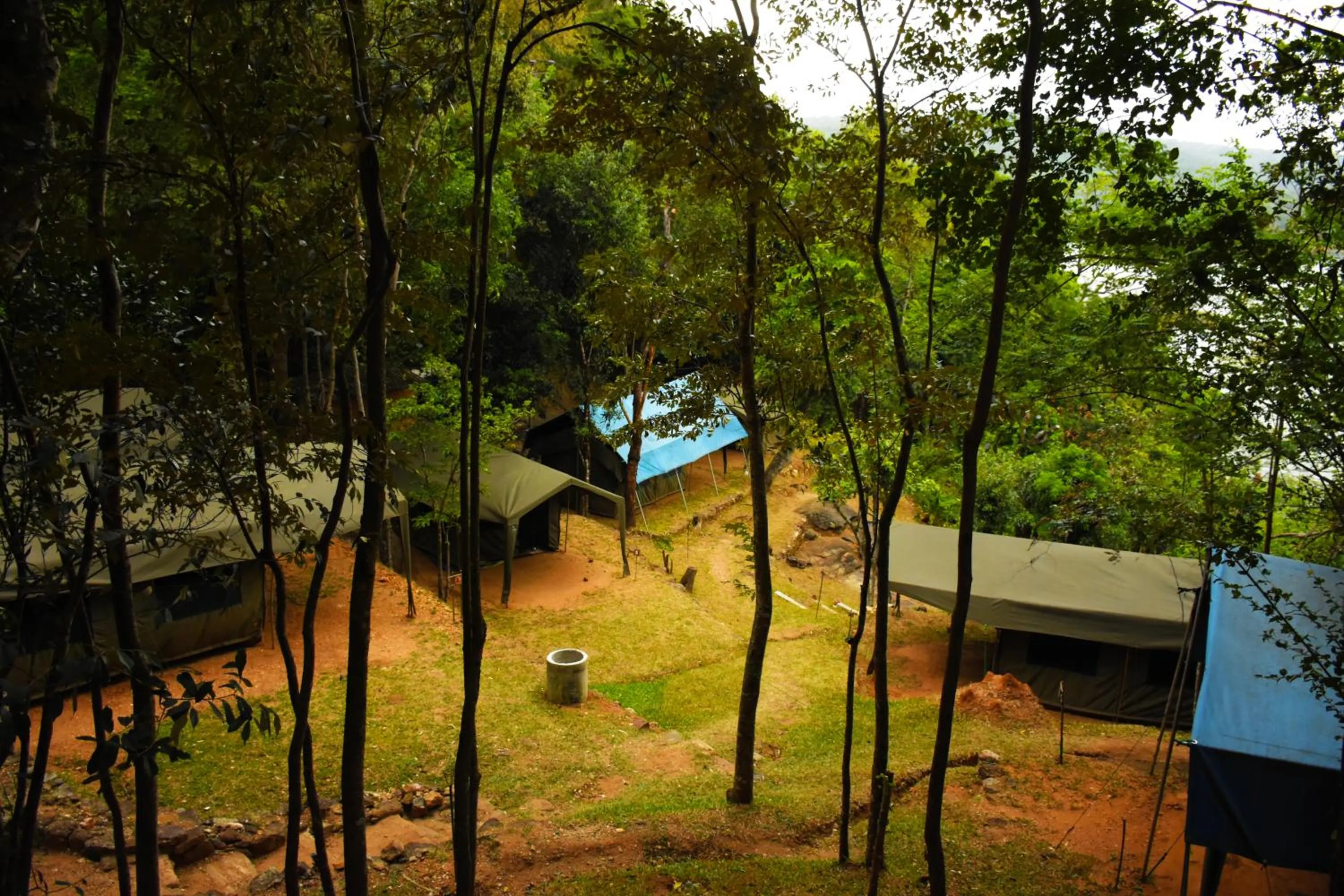 View (from property/room) in Belihuloya Adventure Camp By Eco Team