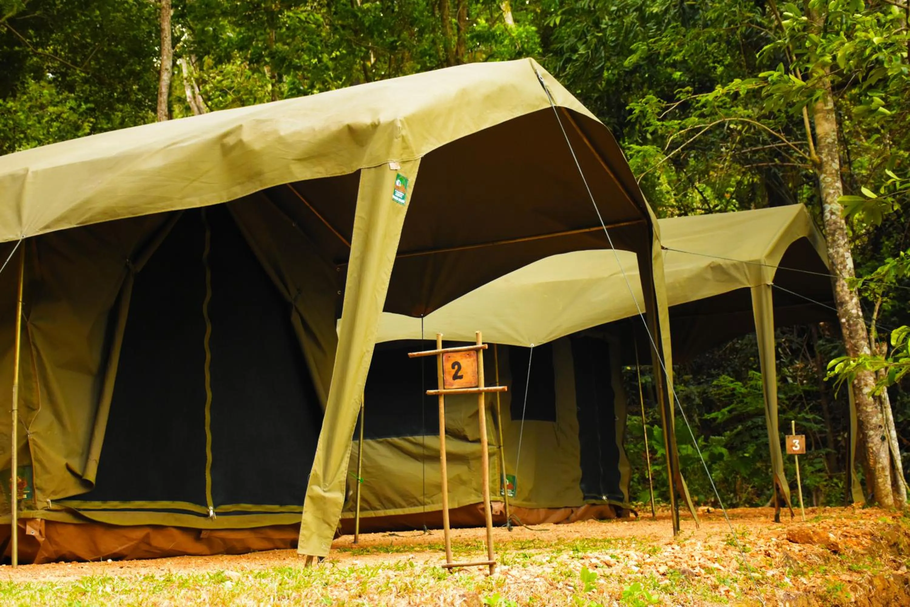 View (from property/room) in Belihuloya Adventure Camp By Eco Team