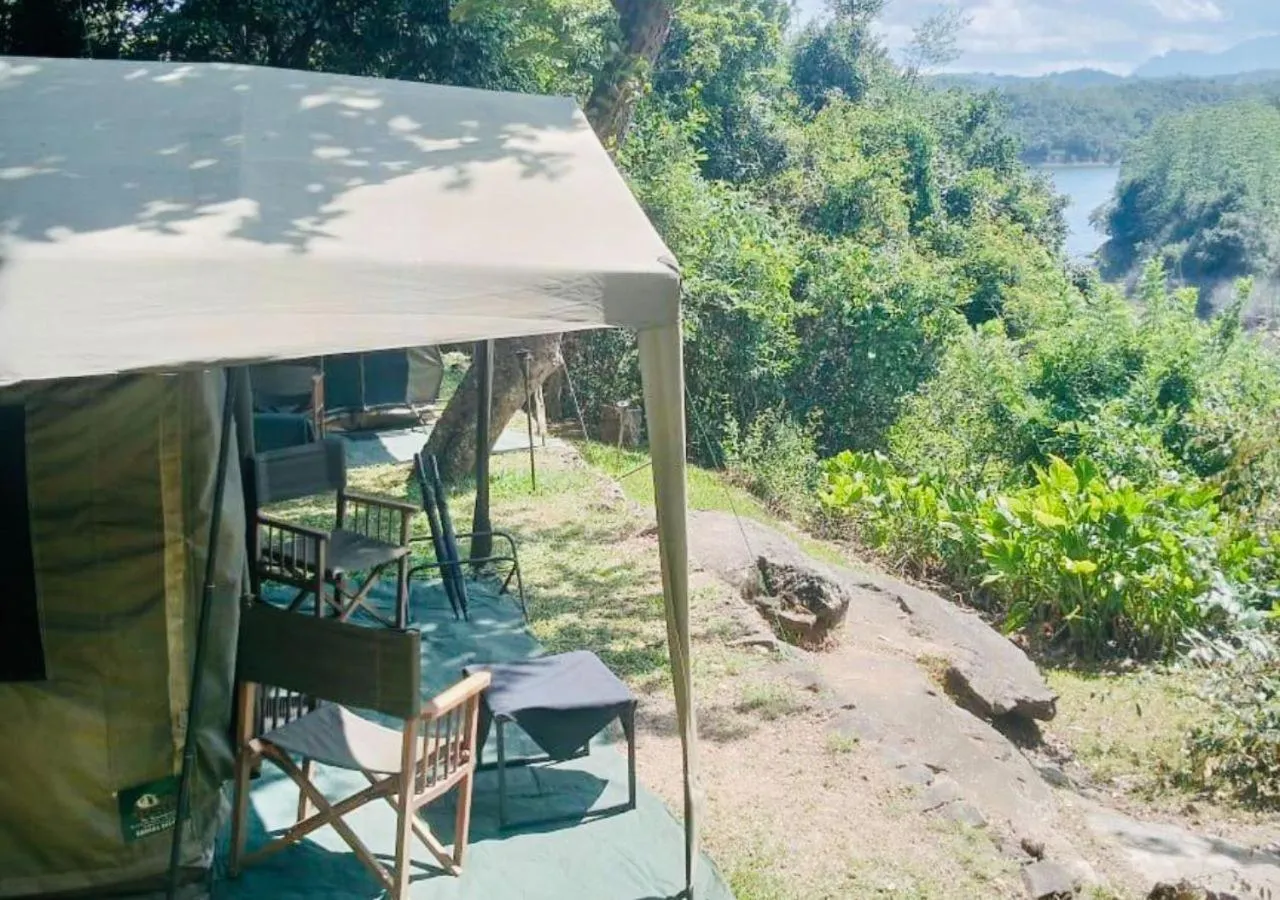 View (from property/room) in Belihuloya Adventure Camp By Eco Team