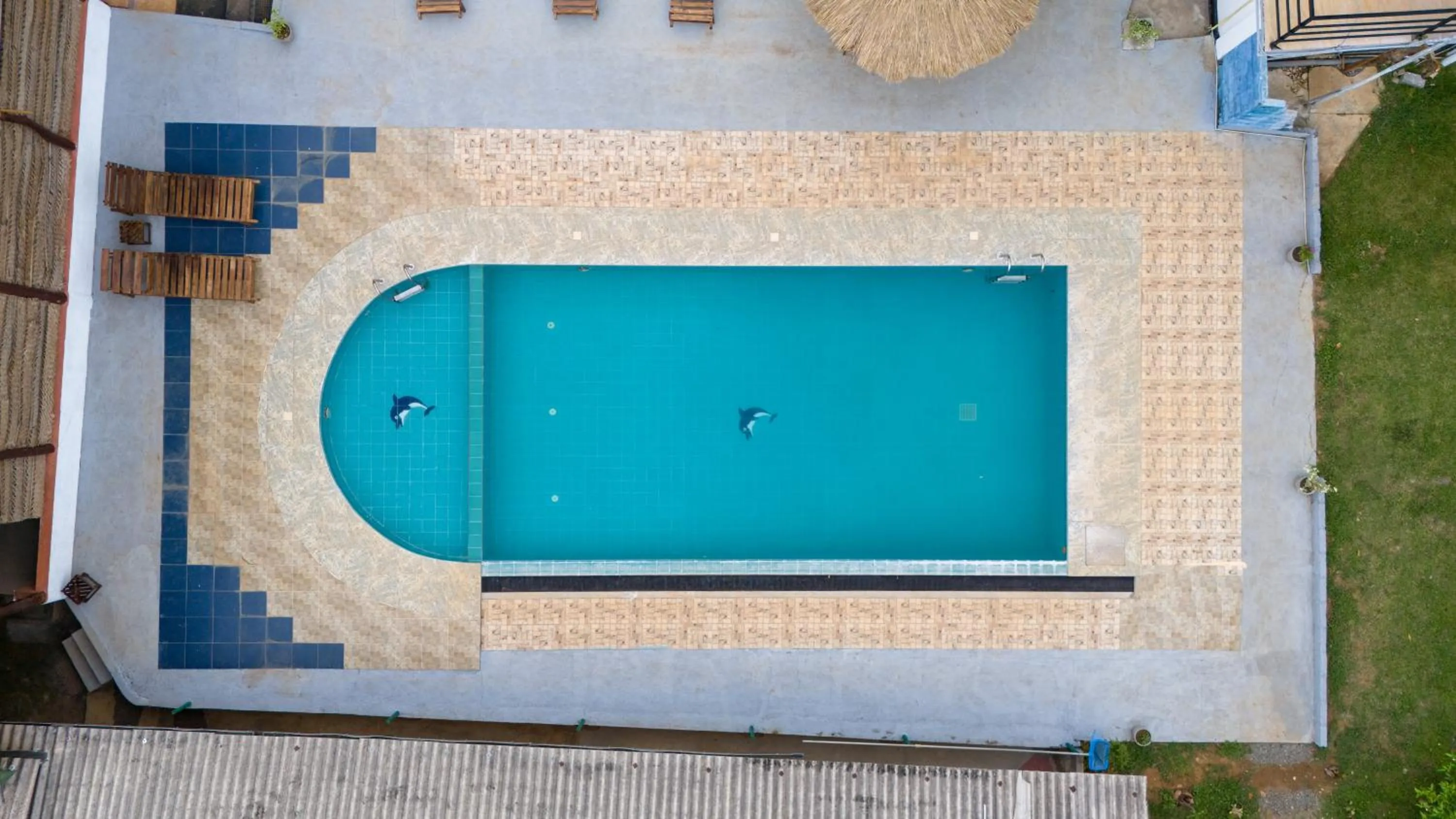 Pool view in Ayurvedic Lanka Wellness Hotel