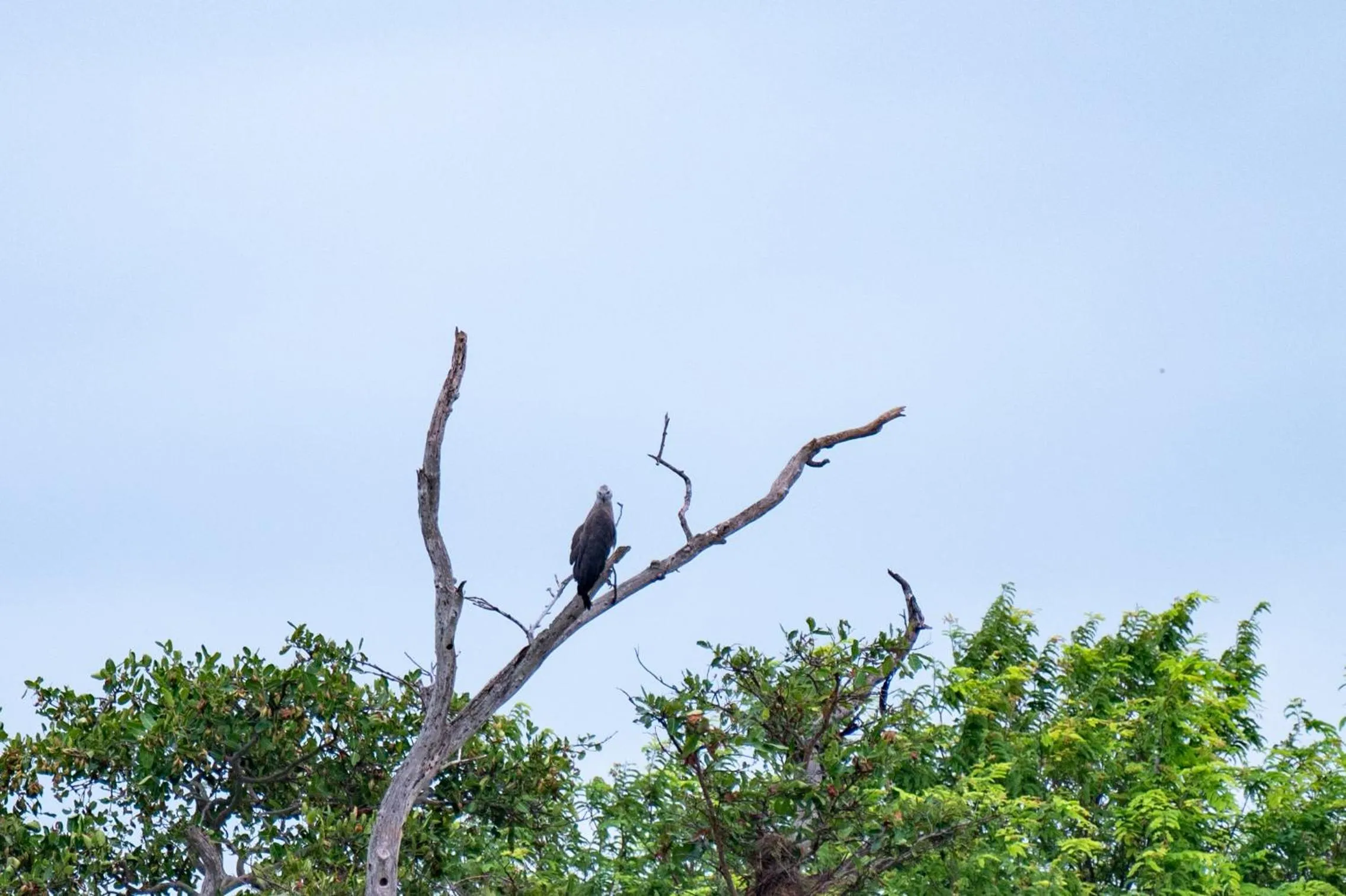 Natural landscape in Ayurvedic Lanka Wellness Hotel