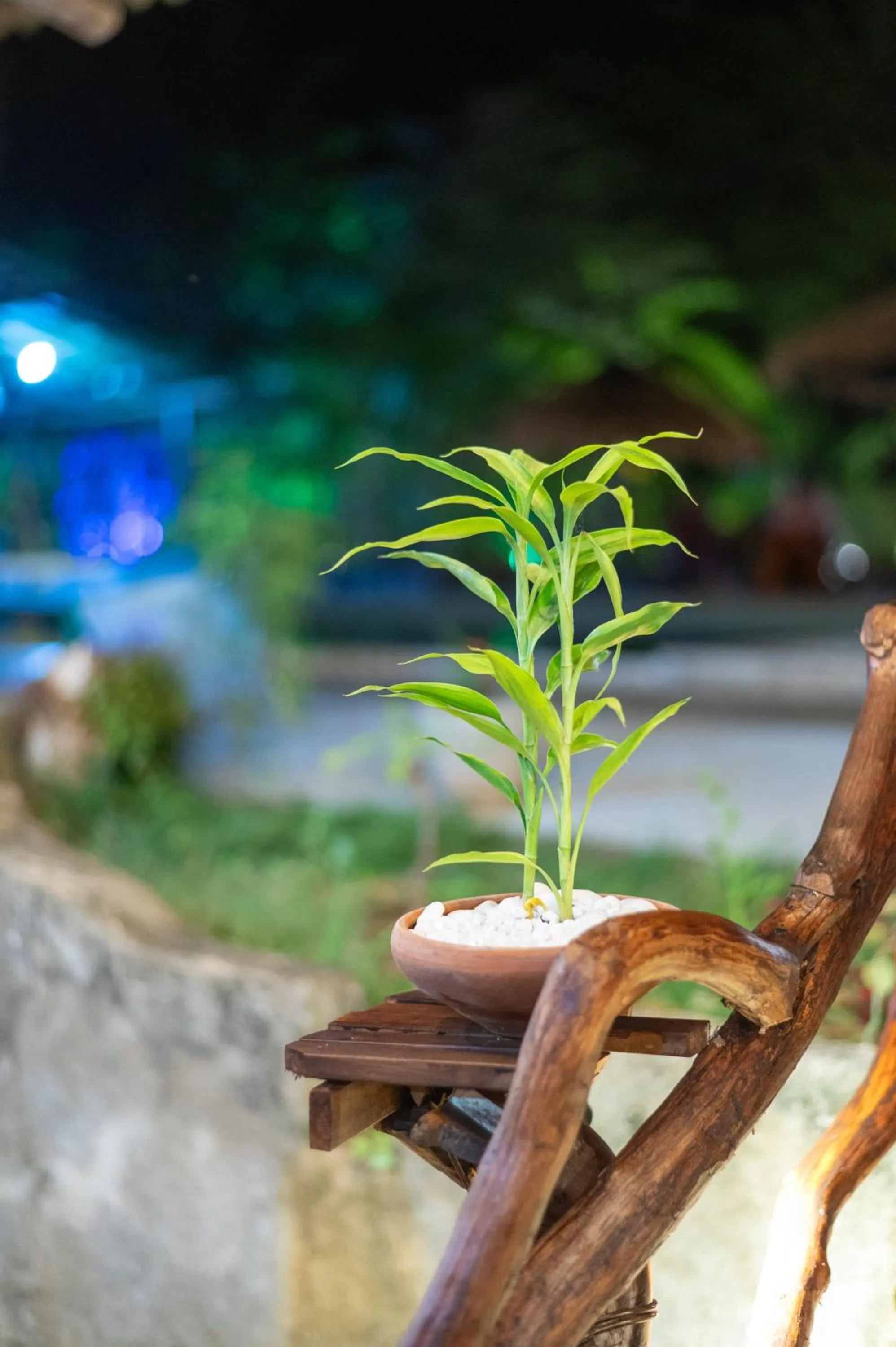 Decorative detail in Ayurvedic Lanka Wellness Hotel