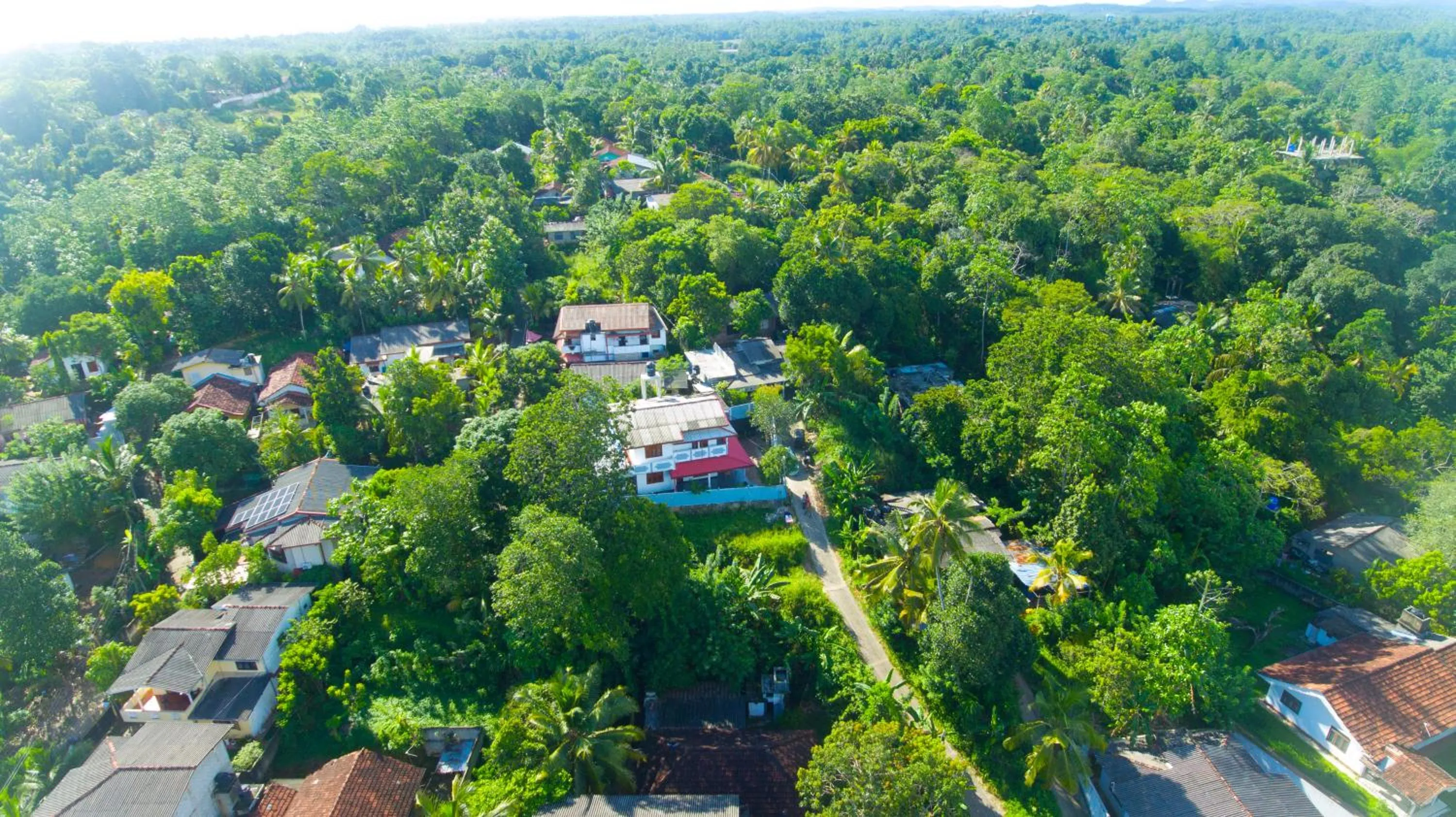 Natural landscape in Dinsara Pearl Villa