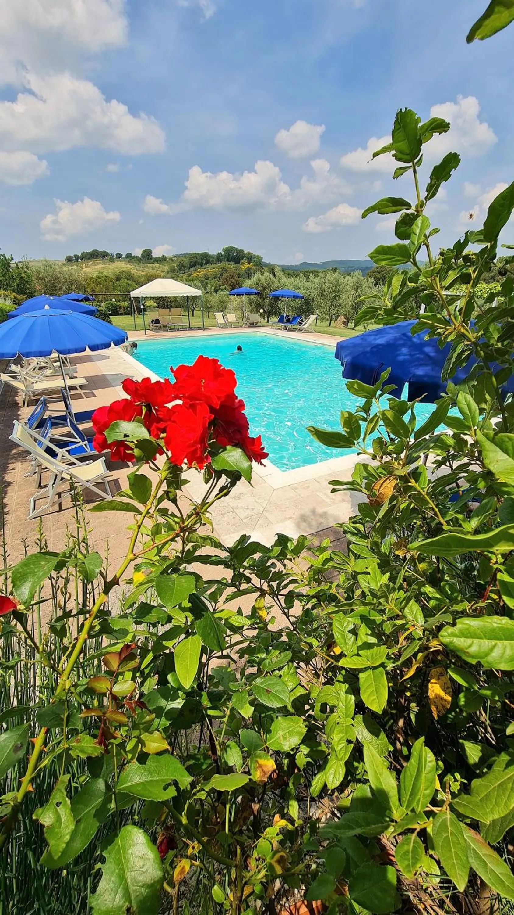 Swimming pool in Antico Borgo Il Cardino