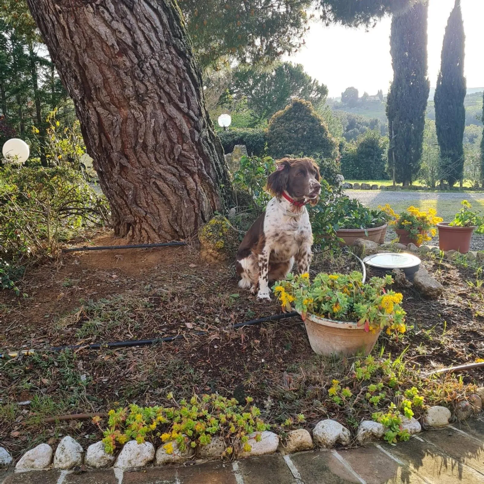 Day in Antico Borgo Il Cardino