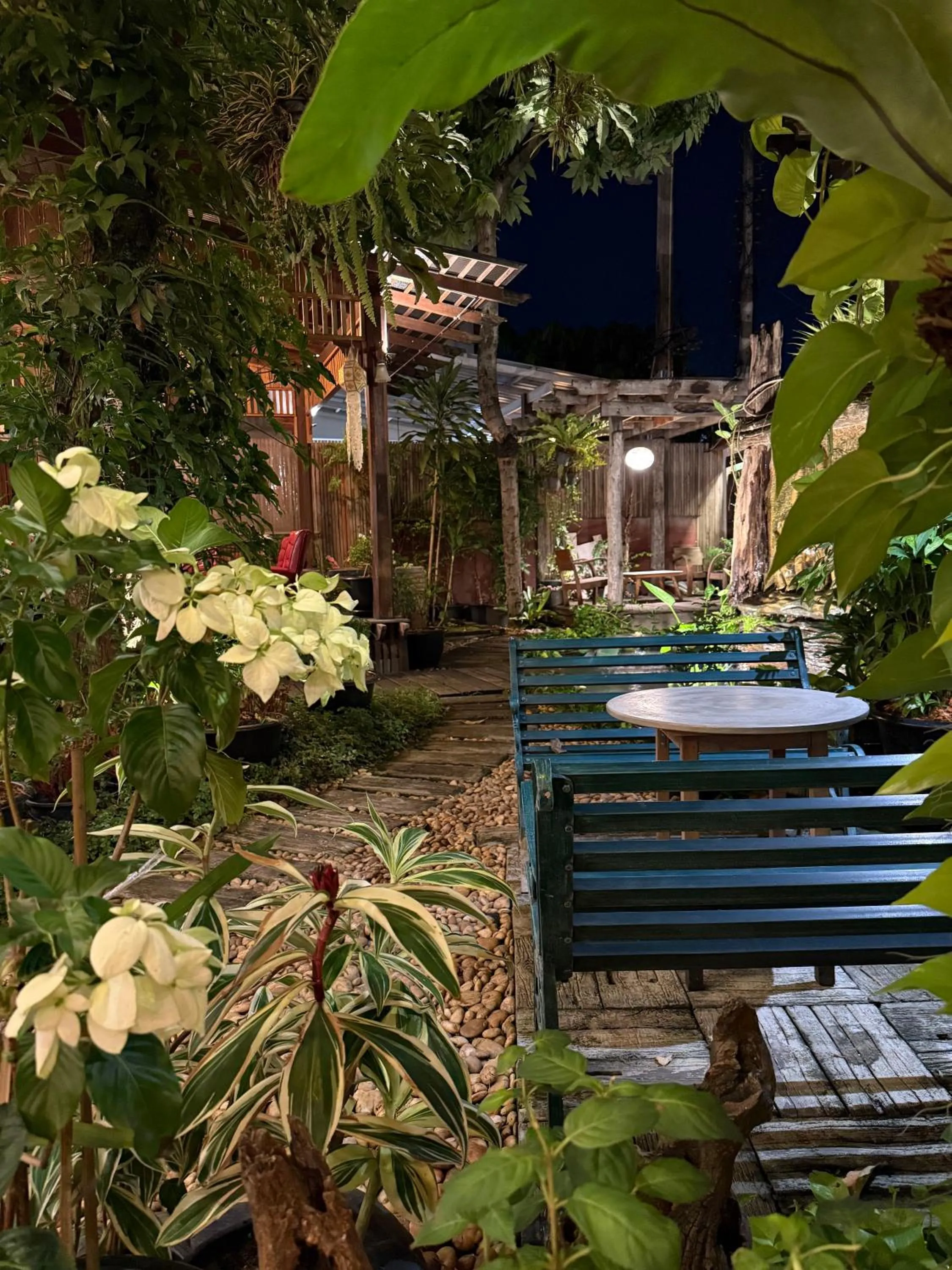 Garden in Khom Chiang Mai