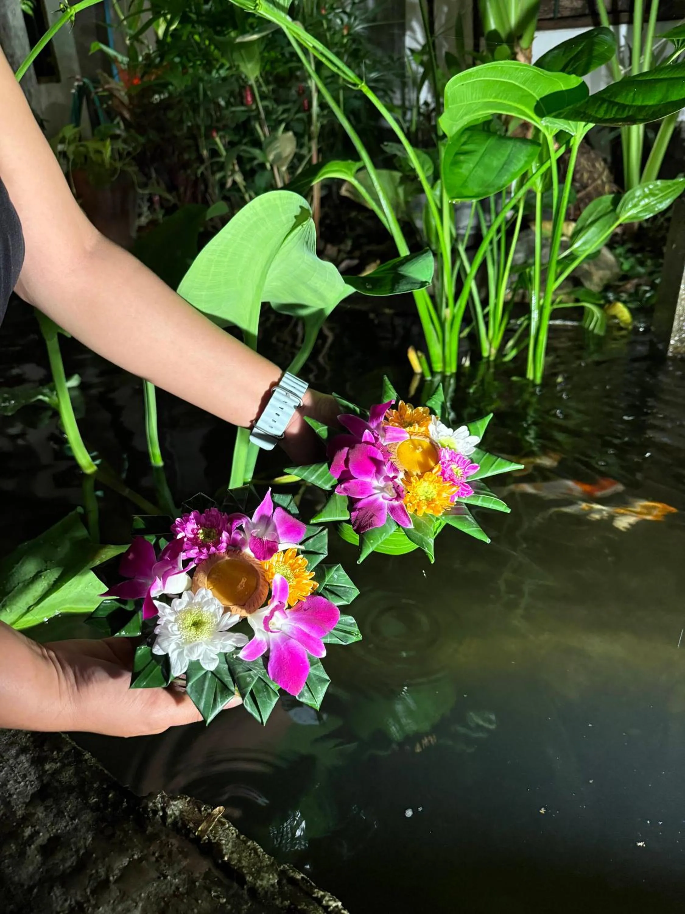 Garden in Khom Chiang Mai