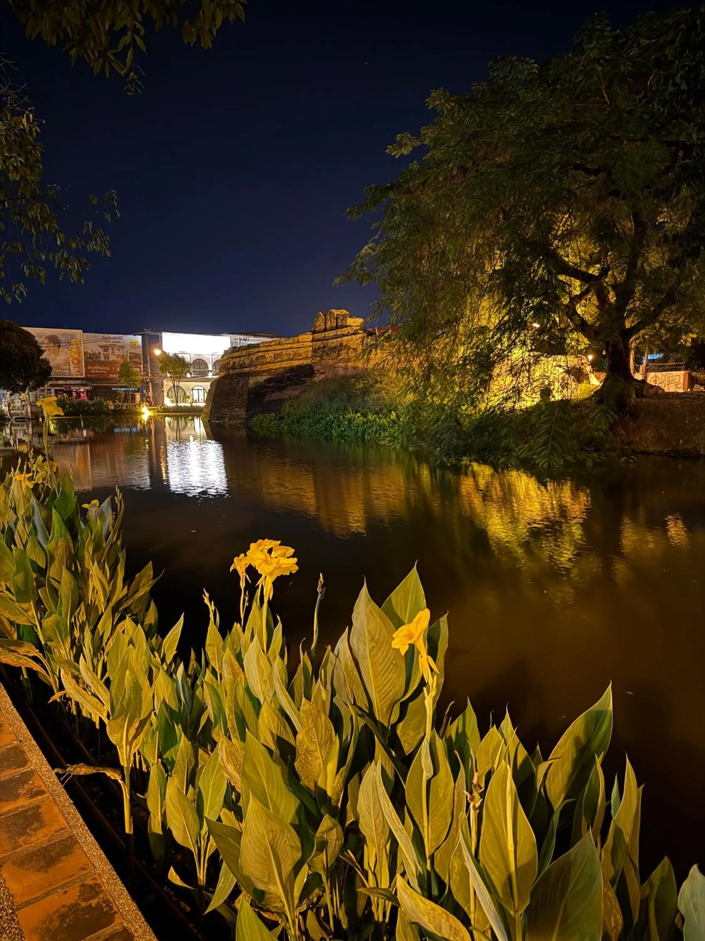 Activities in Khom Chiang Mai