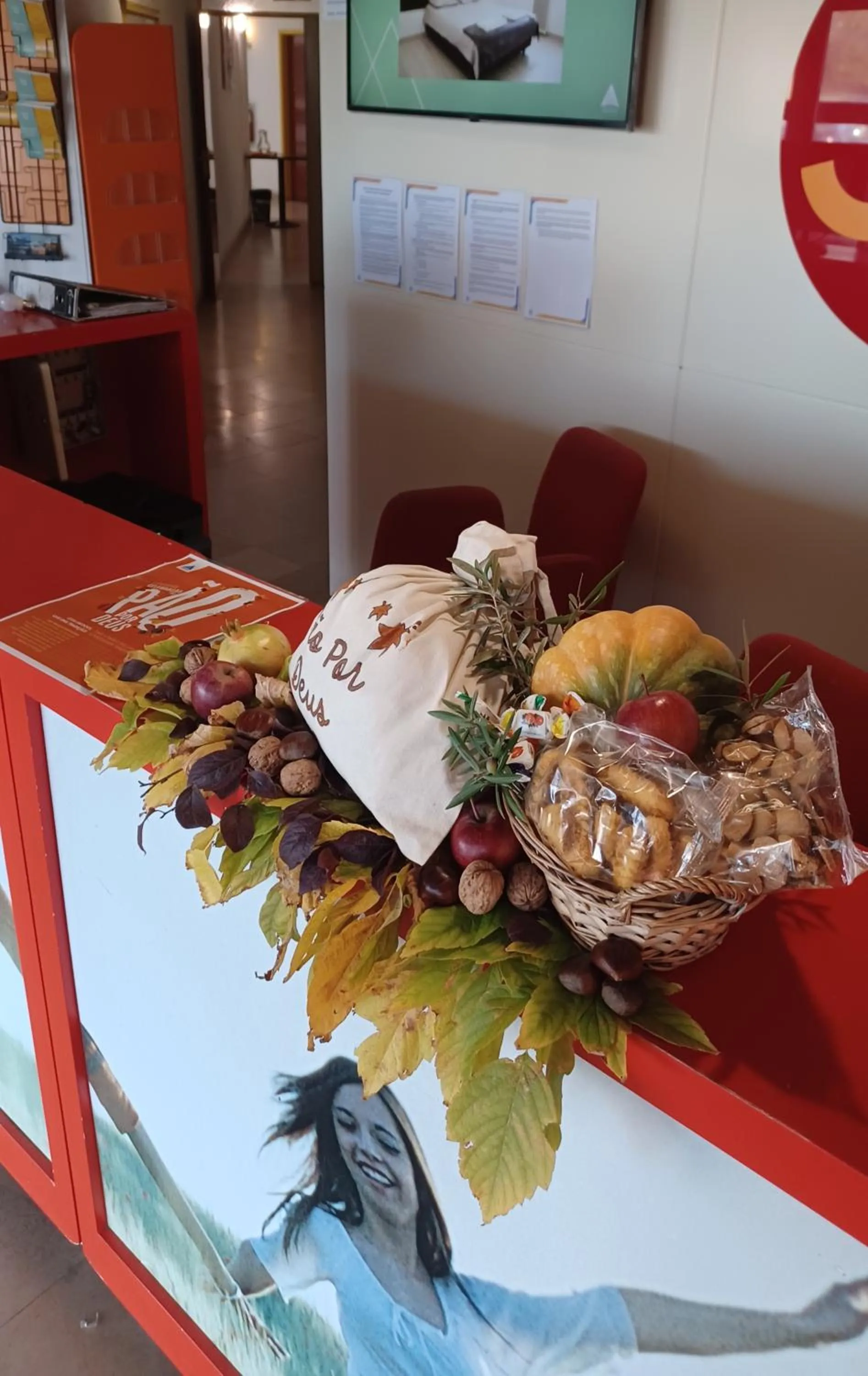 Seasons in HI Aveiro – Pousada de Juventude