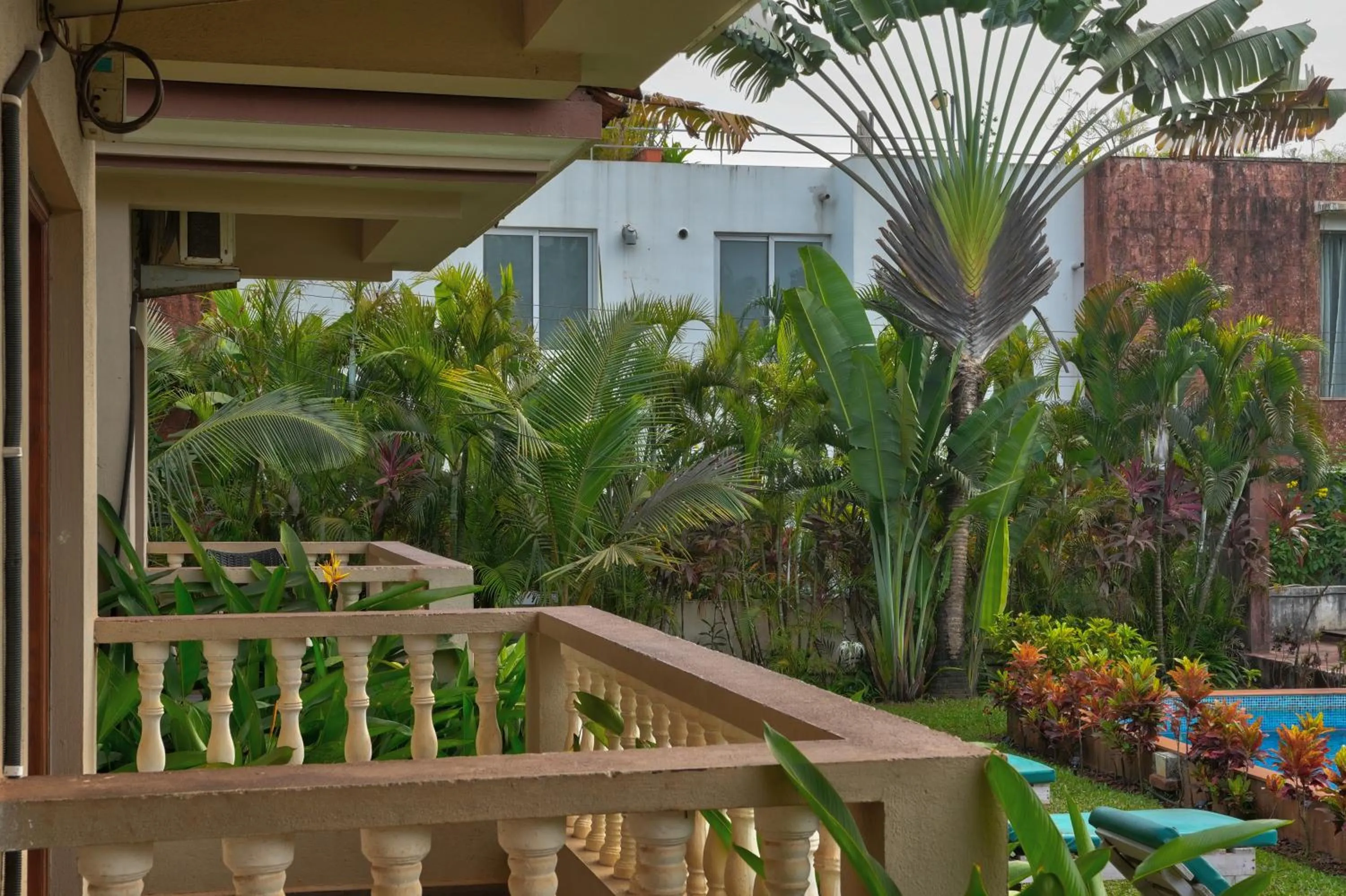 Garden in Casa De Royale - Anjuna