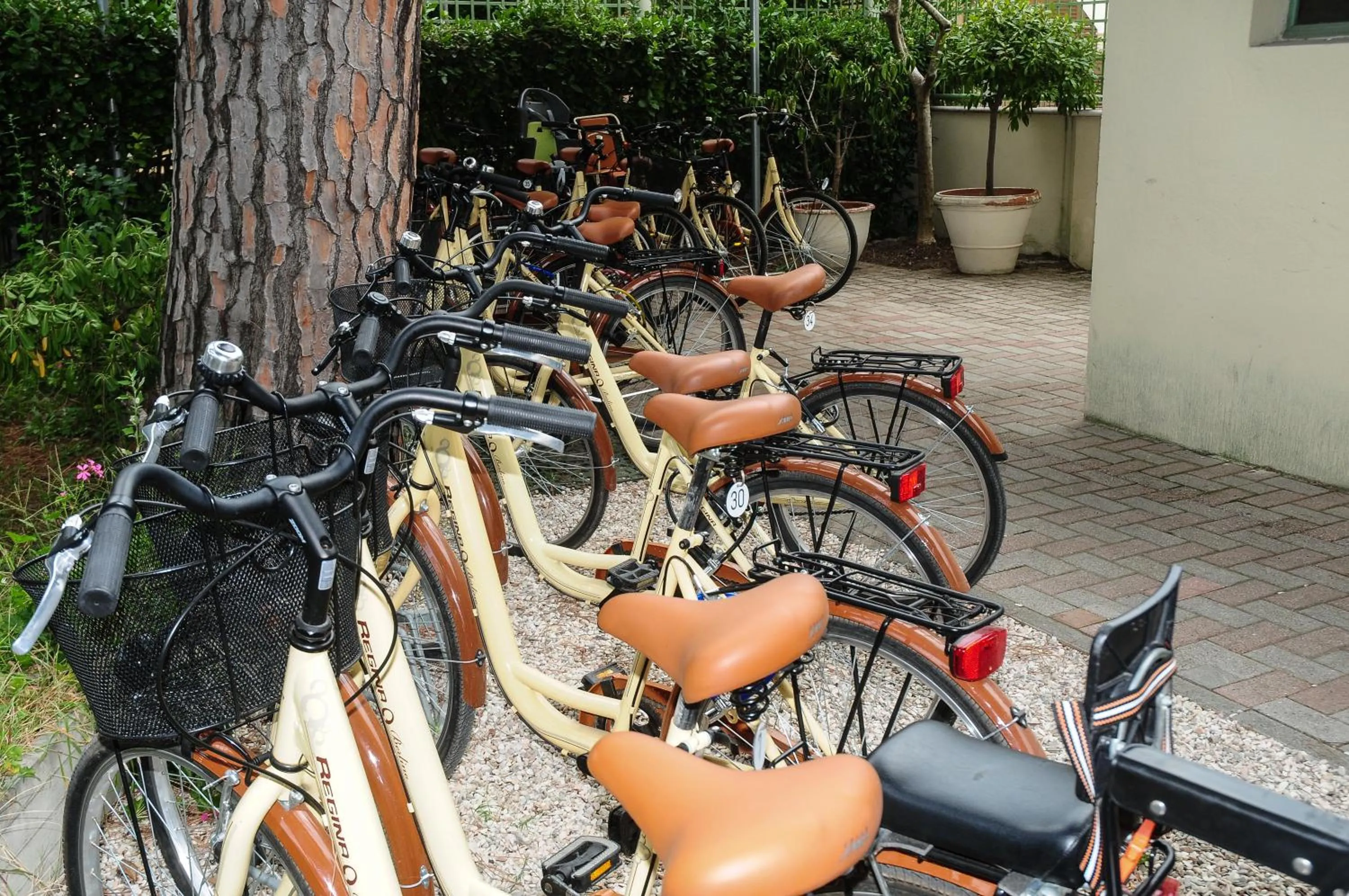 Cycling in Hotel Rosenblatt
