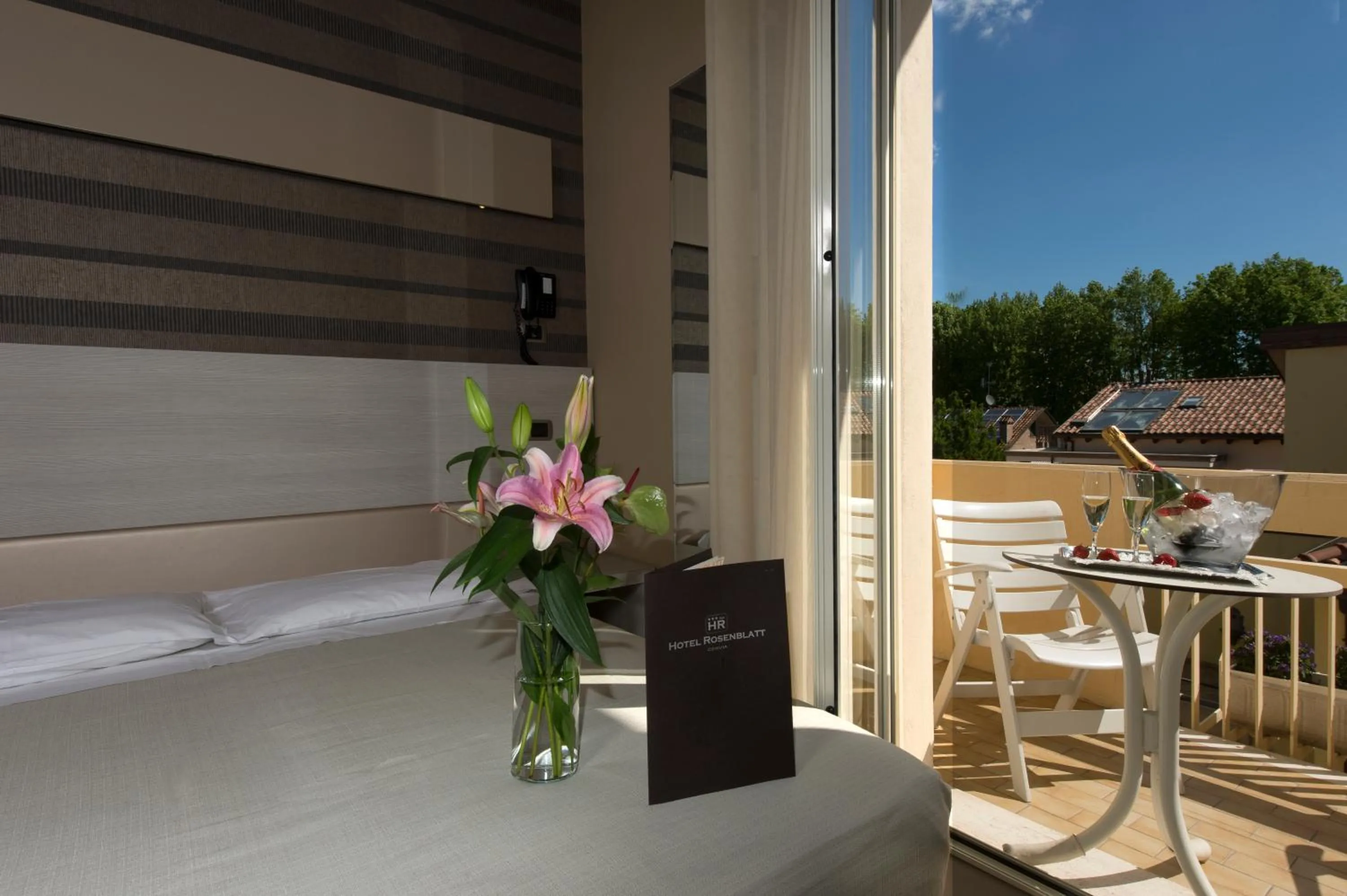 Balcony/Terrace in Hotel Rosenblatt