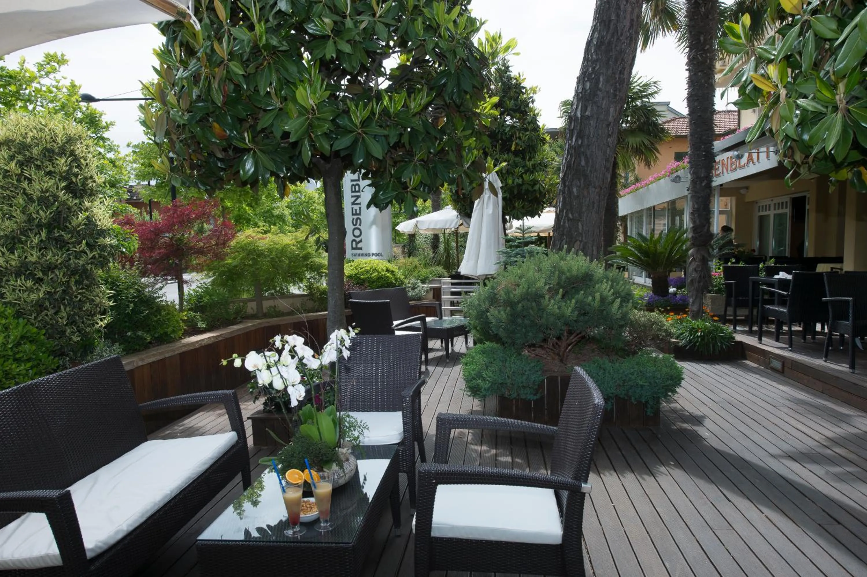 Garden in Hotel Rosenblatt