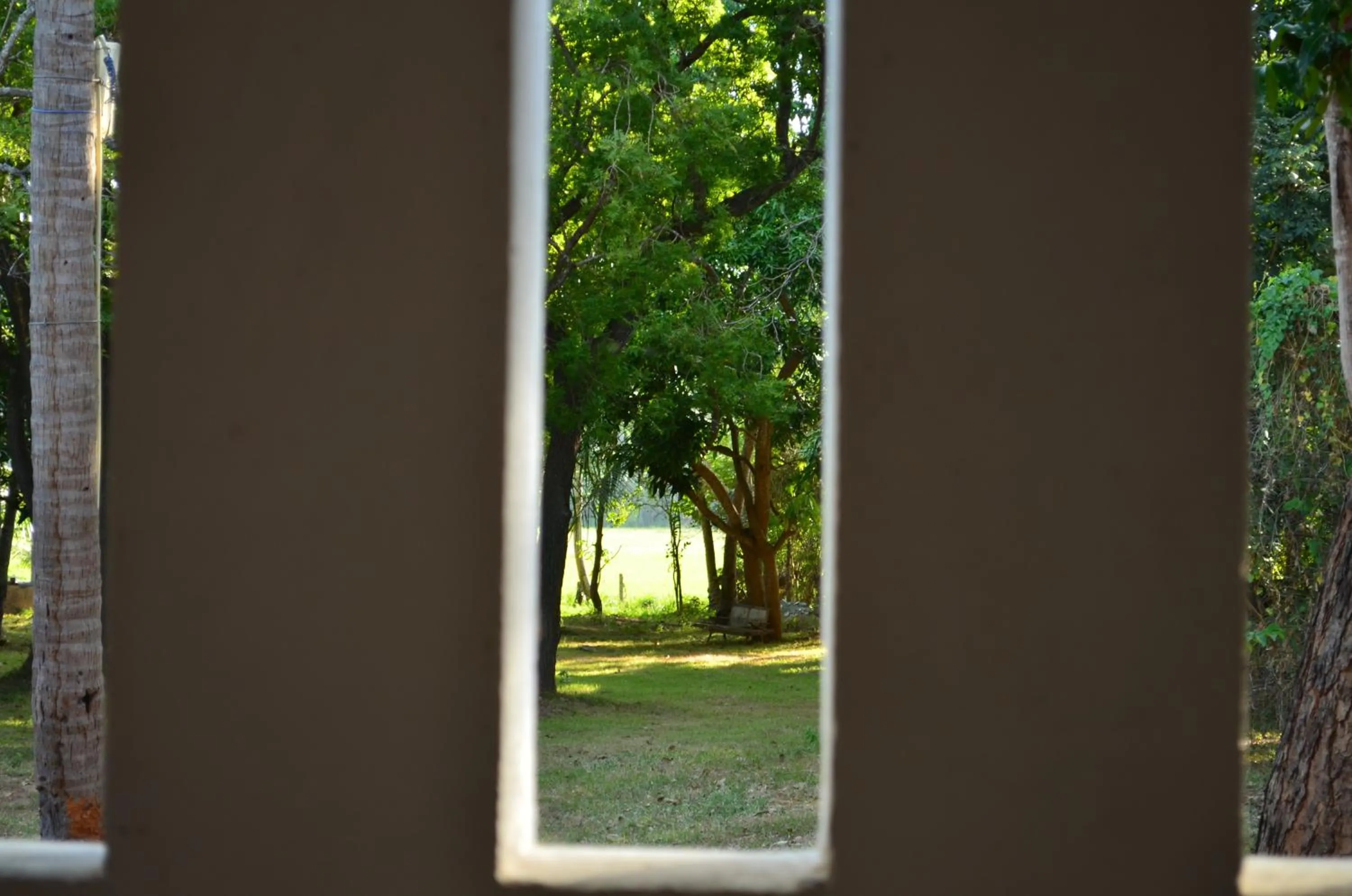 Natural landscape in Vallee 69 Eco Villa-Tissa,Yala