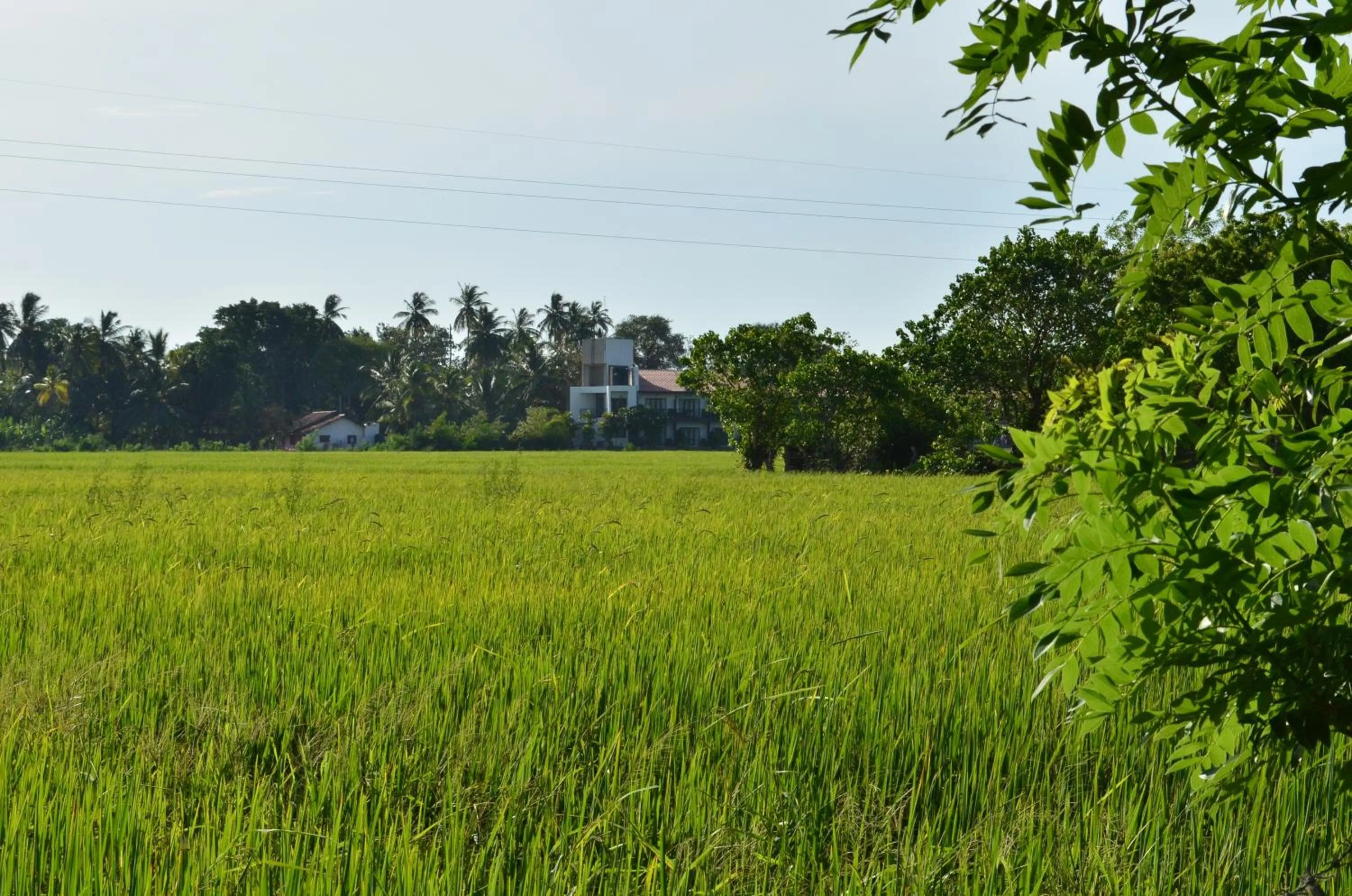 Neighbourhood in Vallee 69 Eco Villa-Tissa,Yala