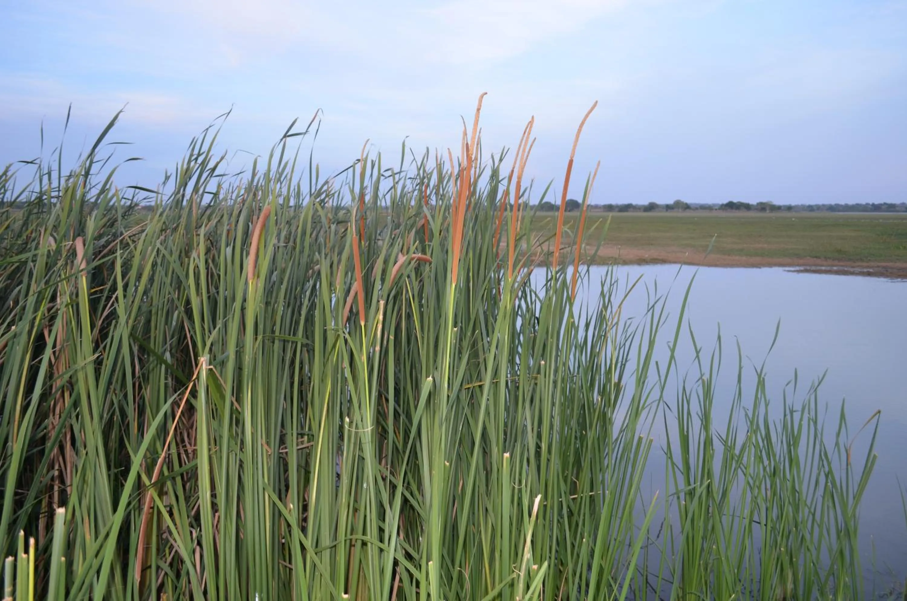 Nearby landmark in Vallee 69 Eco Villa-Tissa,Yala