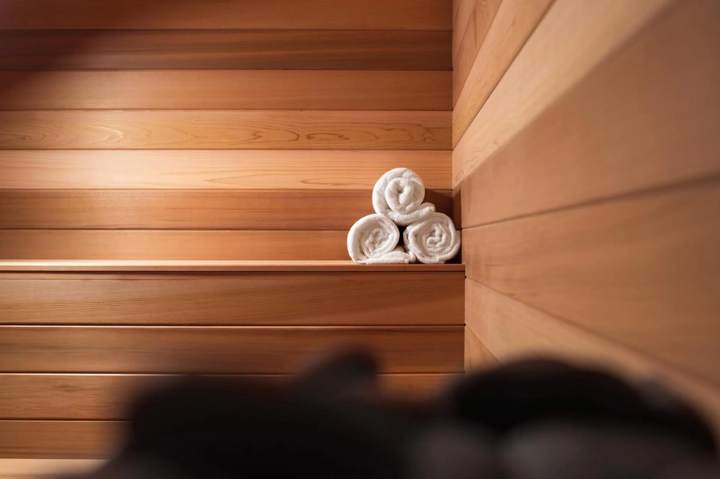 Sauna in 21c Museum Hotel Durham