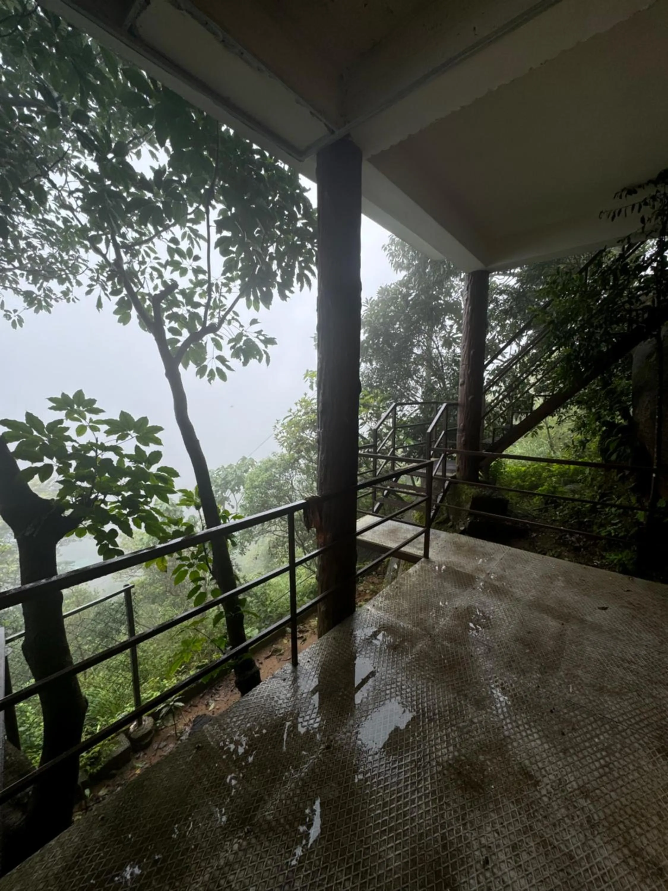 Spring in Jmount Vagamon Resort