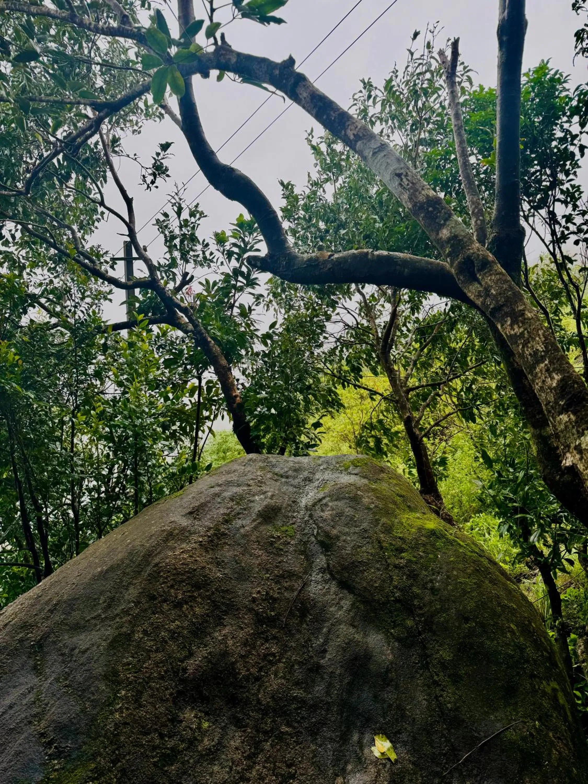 Day in Jmount Vagamon Resort