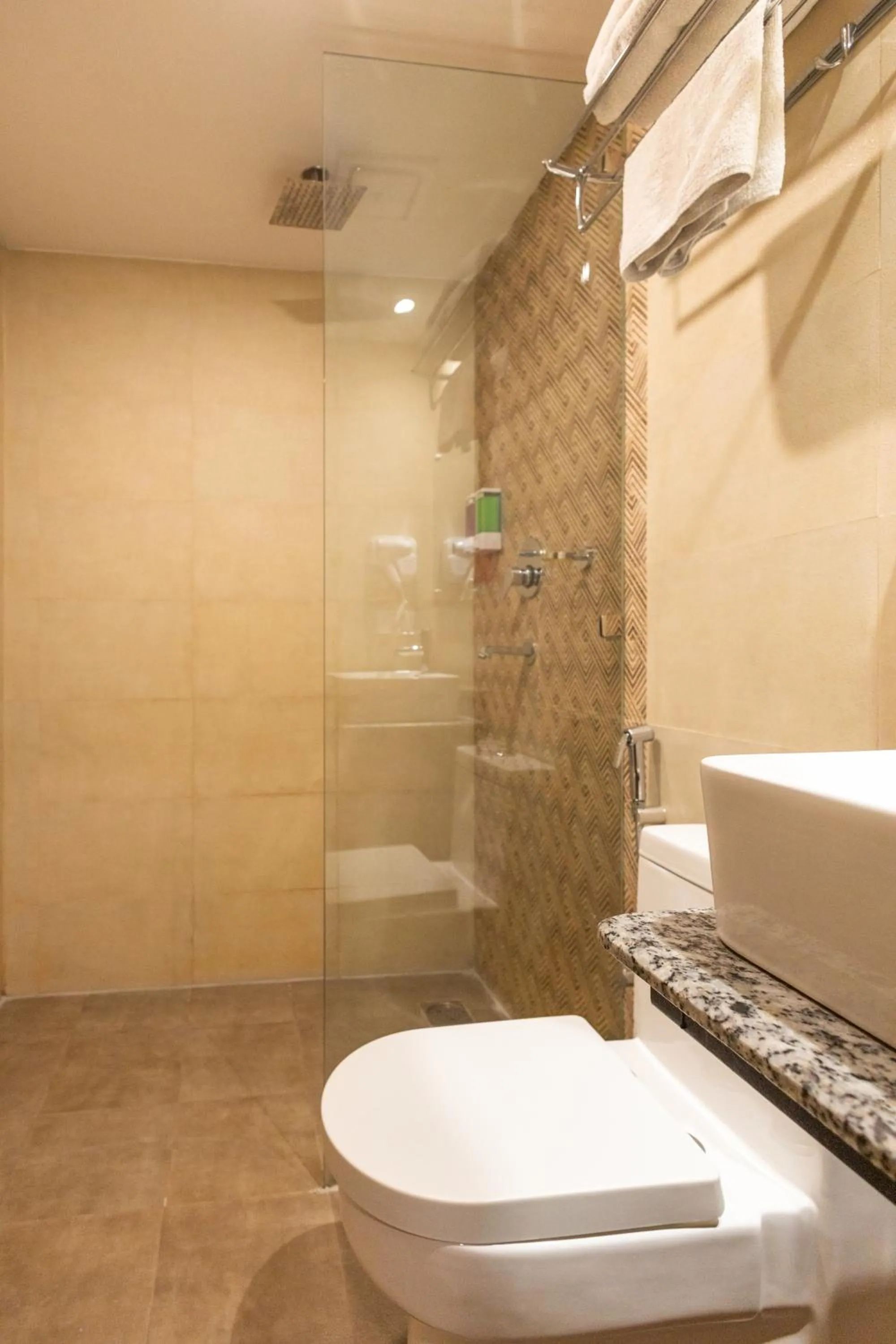 Shower in Divya Boutique Inn