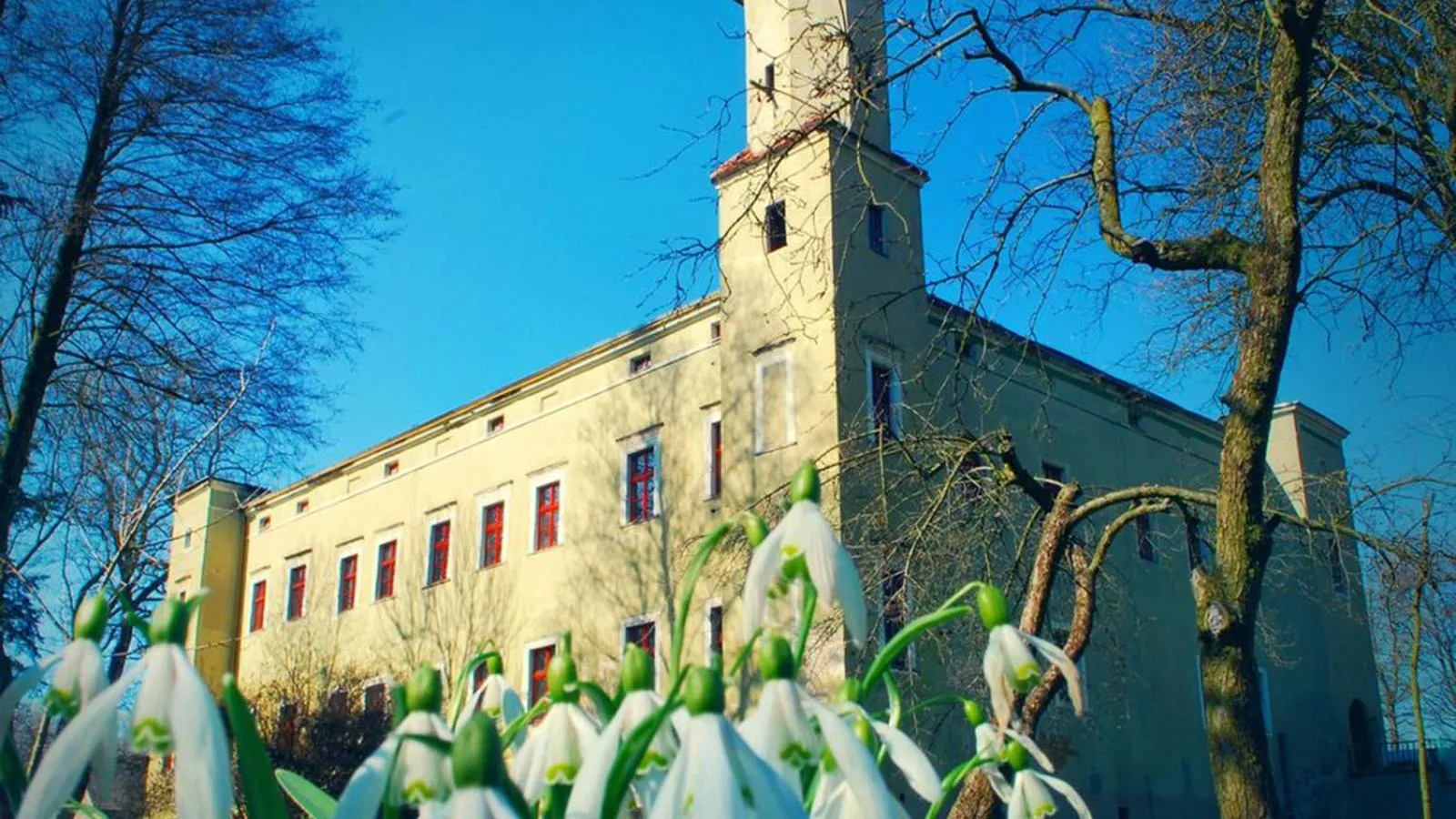 Property building in Zamek Dobroszyce