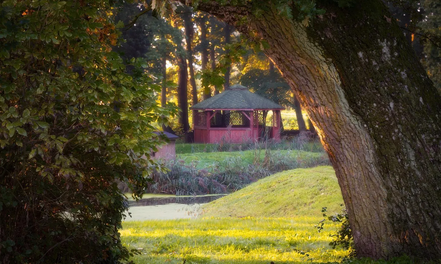 Garden in Zamek Dobroszyce