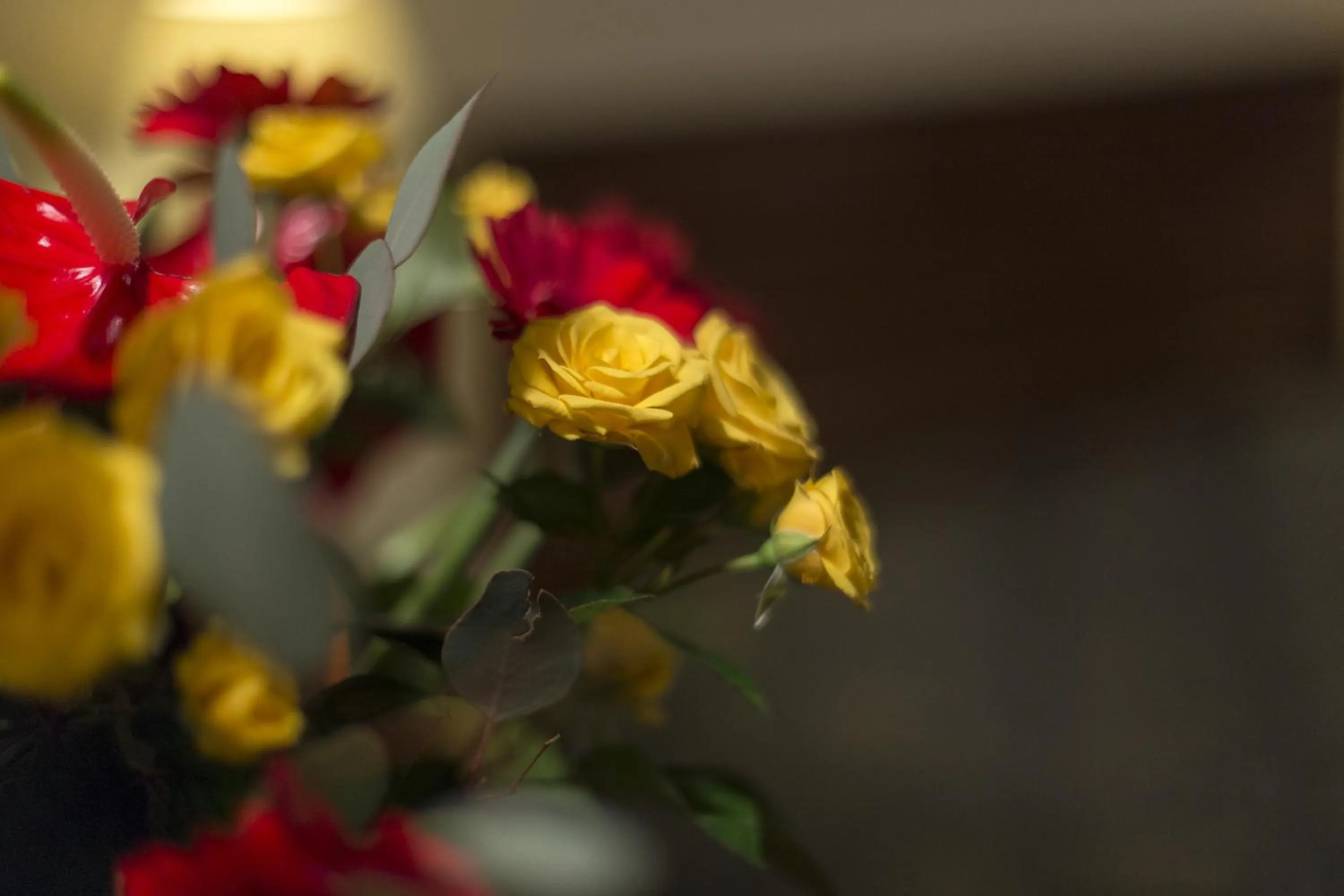 Other in B&B Le Marie