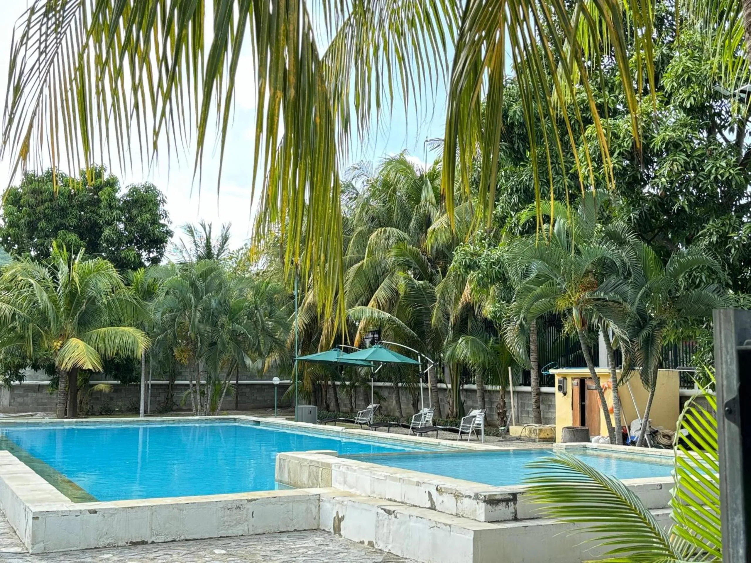 Swimming pool in Palm Malinamoc Hotel