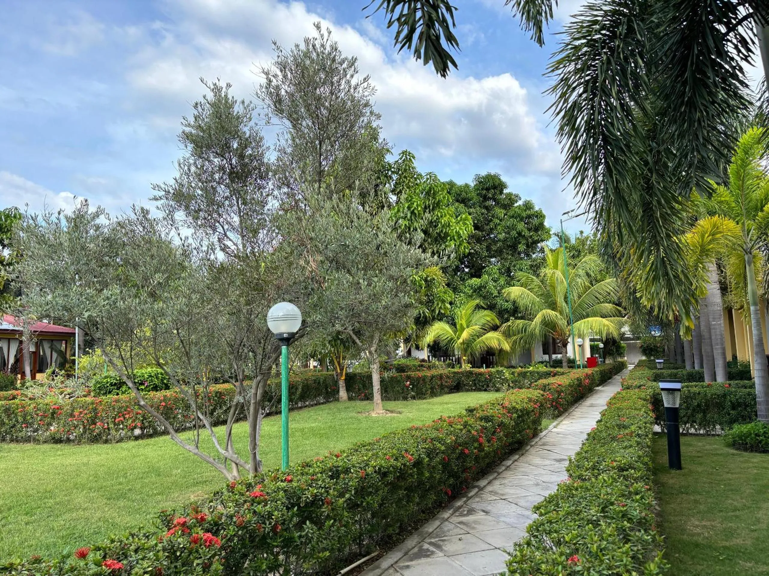 Garden in Palm Malinamoc Hotel