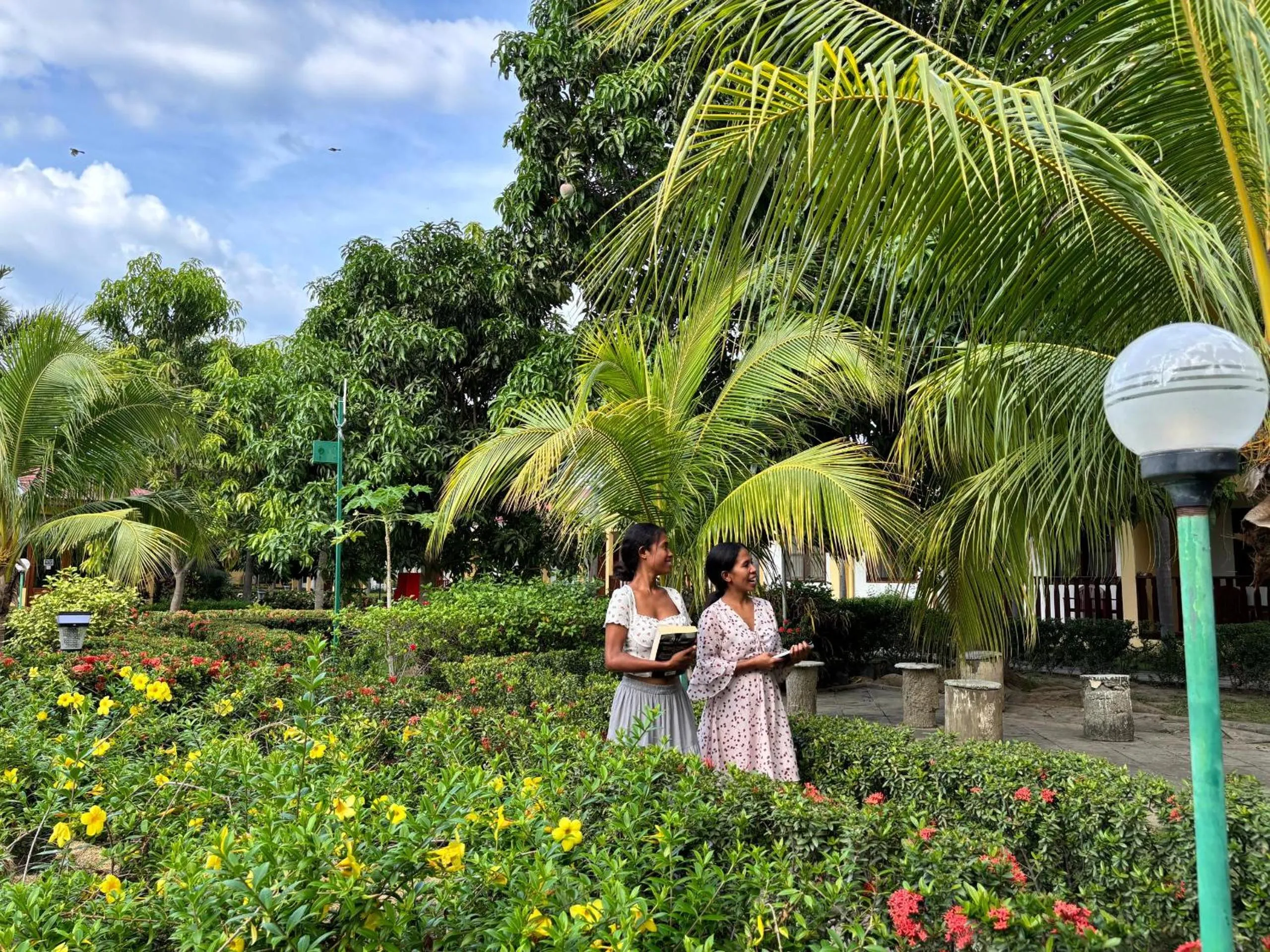 Garden in Palm Malinamoc Hotel
