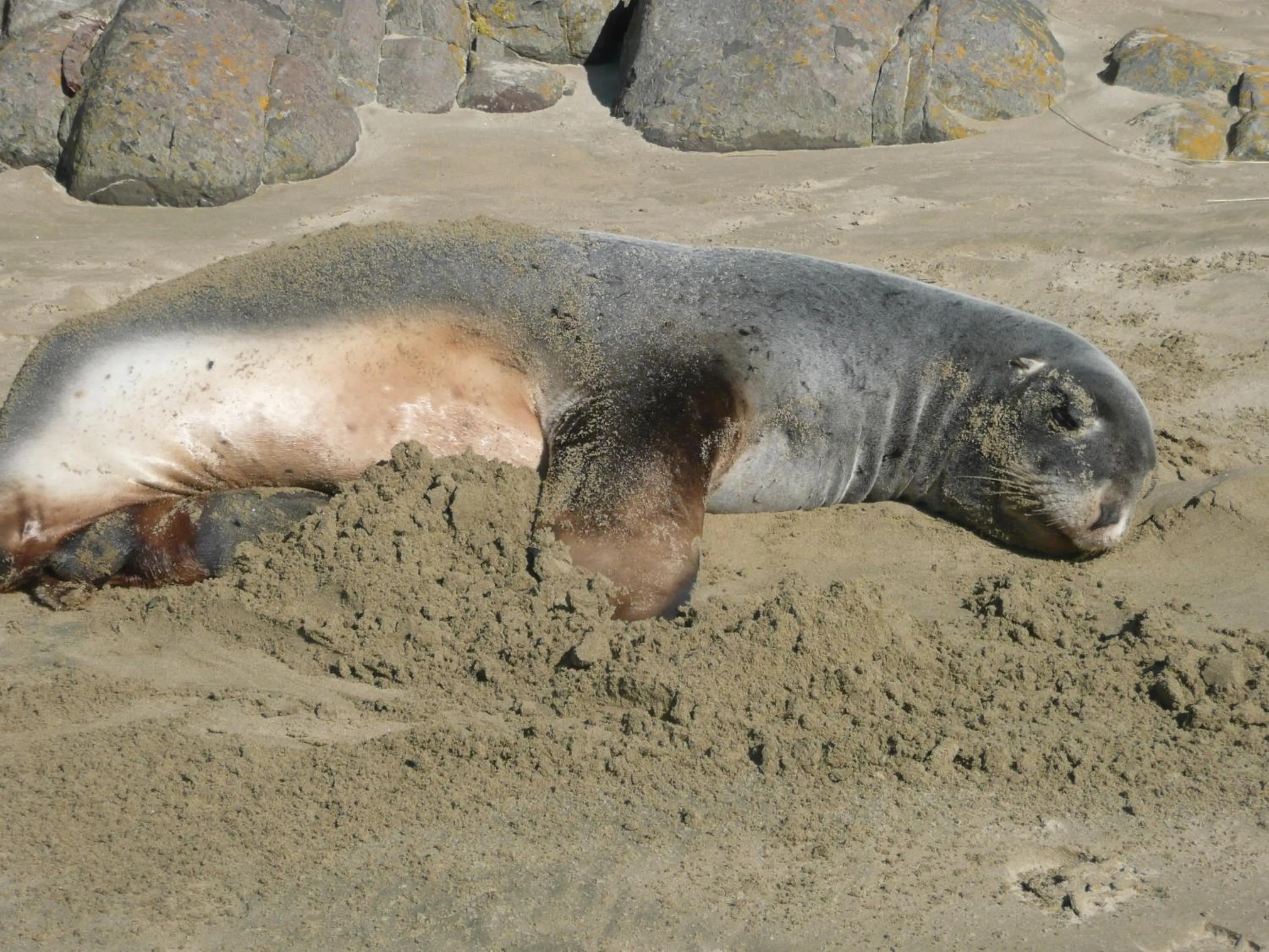 Hiking in Thomas's Catlins Lodge and Camp Ground