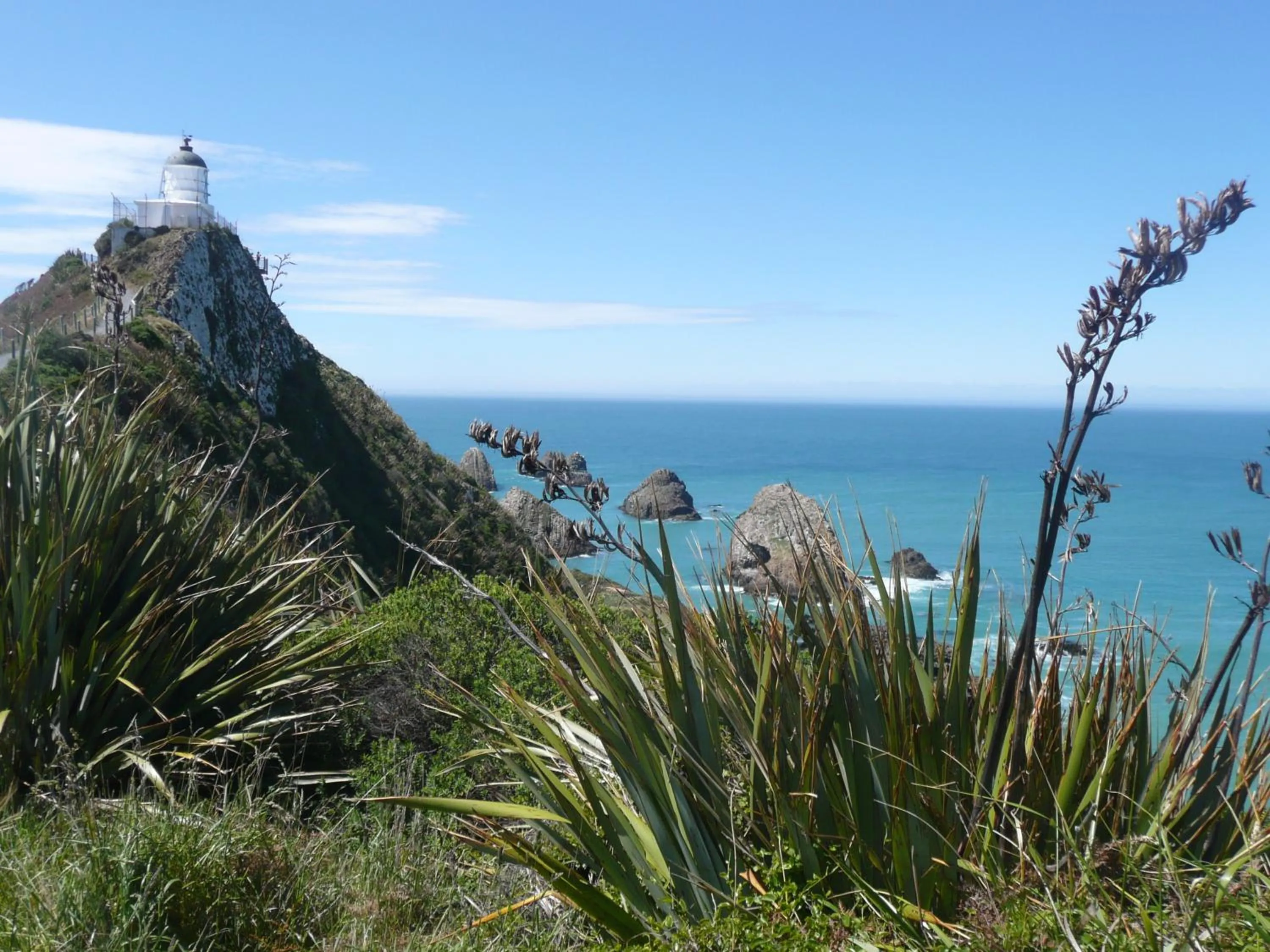 Area and facilities in Thomas's Catlins Lodge and Camp Ground
