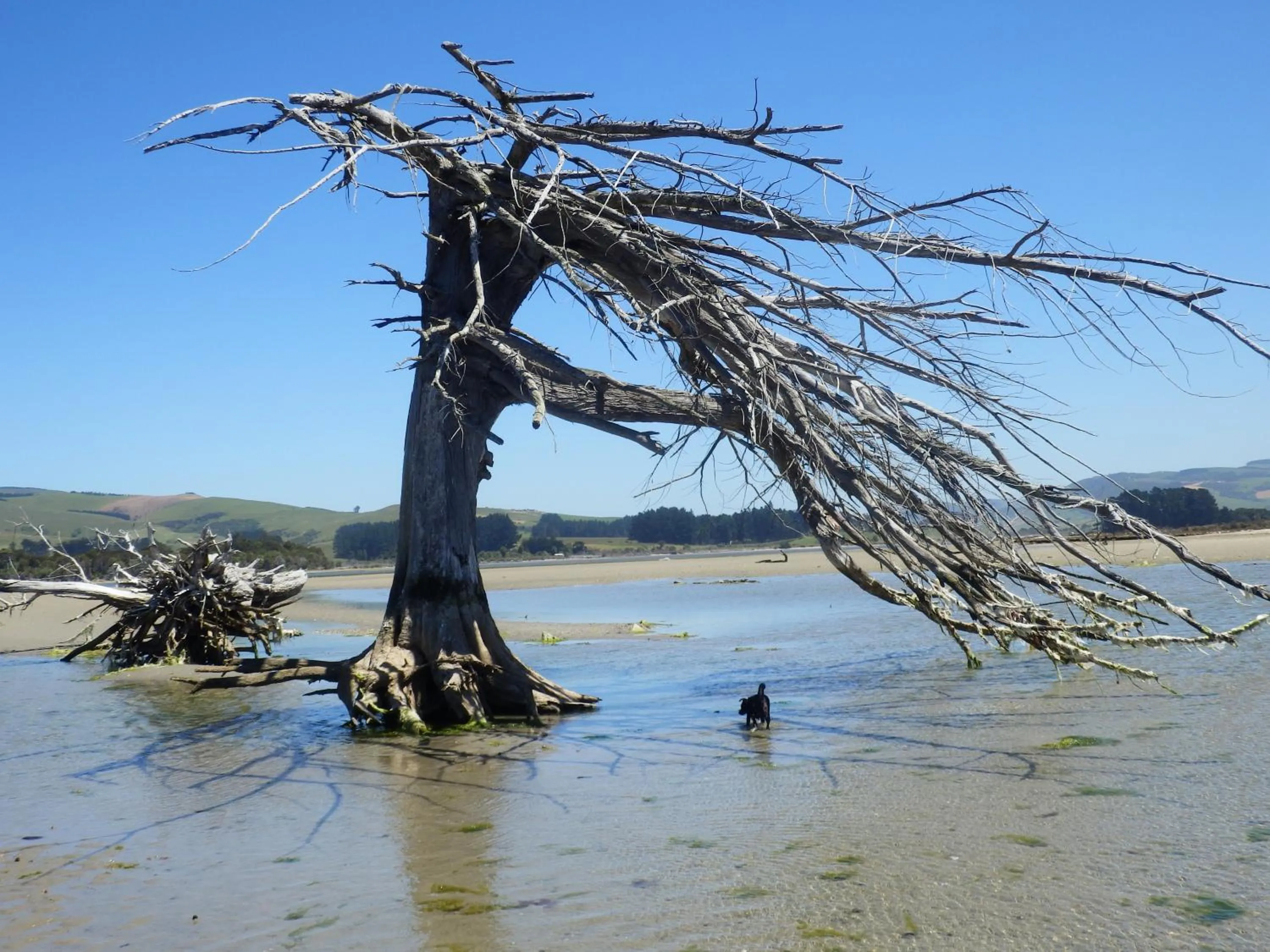 Nearby landmark in Thomas's Catlins Lodge and Camp Ground