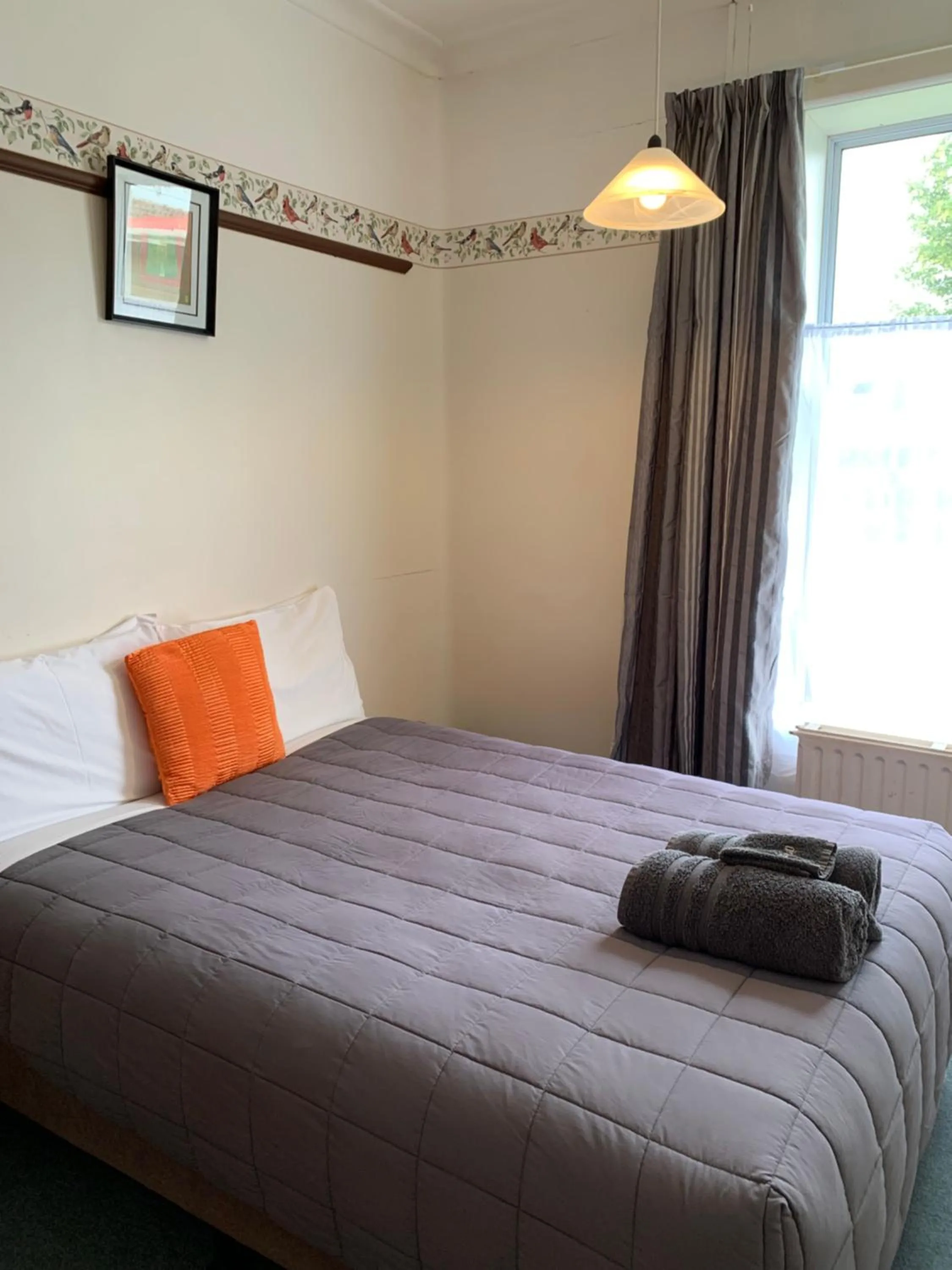 Photo of the whole room, Bed in Thomas's Catlins Lodge and Camp Ground