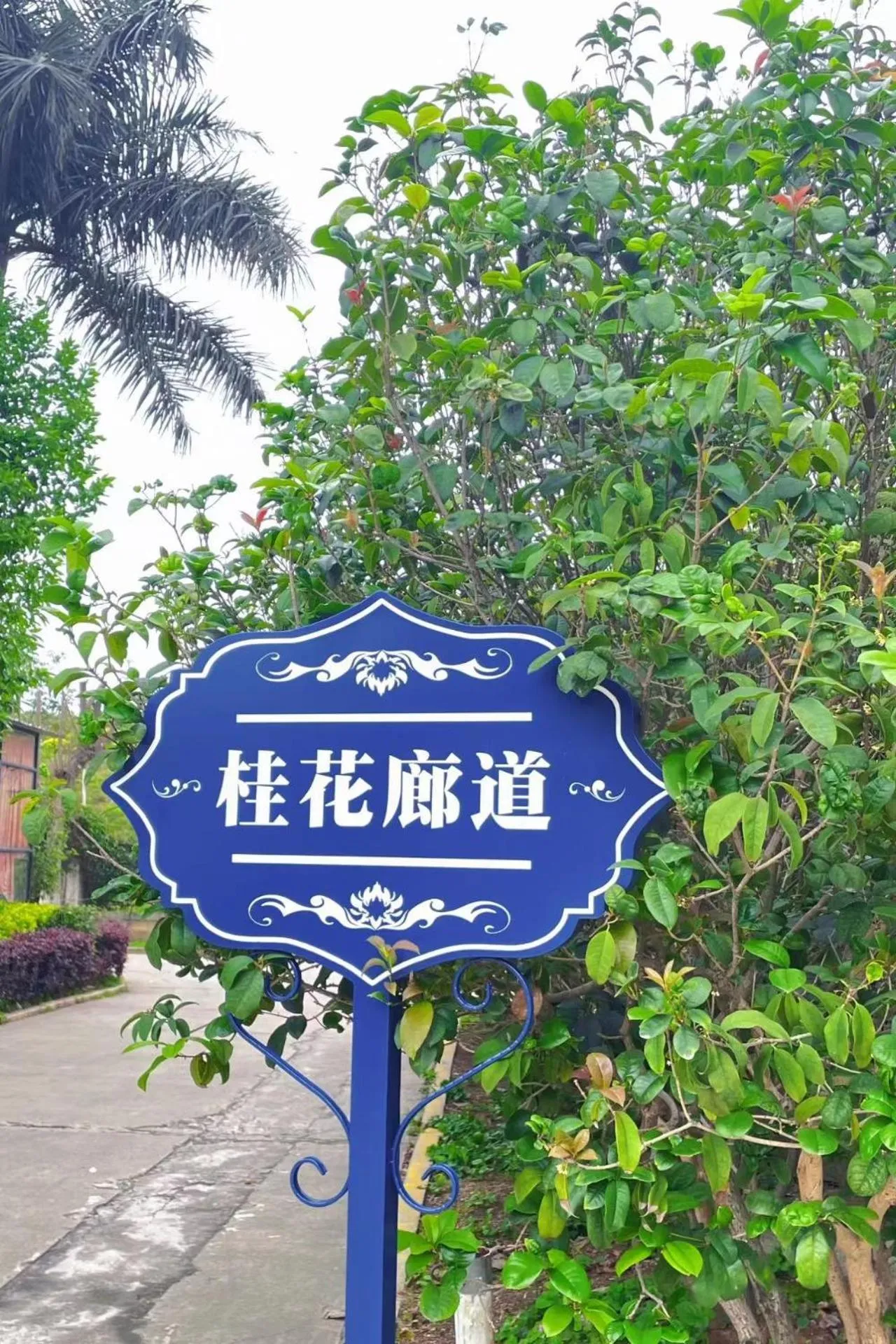 Property building in Xiamen Xiang An Yi Hao Hotel