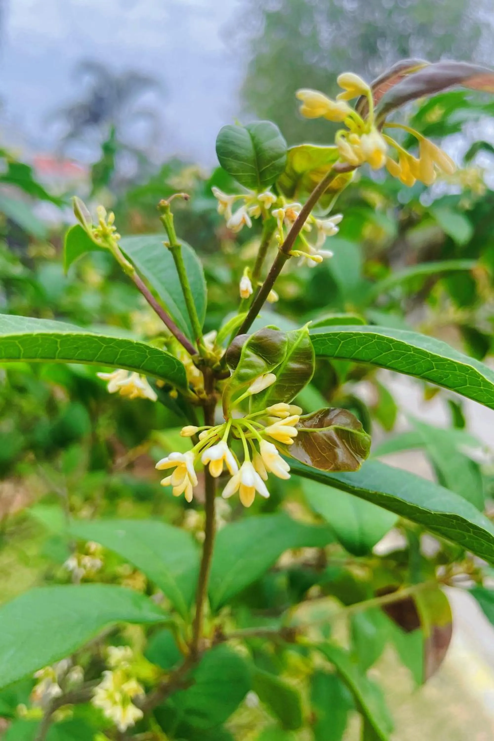 Property building in Xiamen Xiang An Yi Hao Hotel