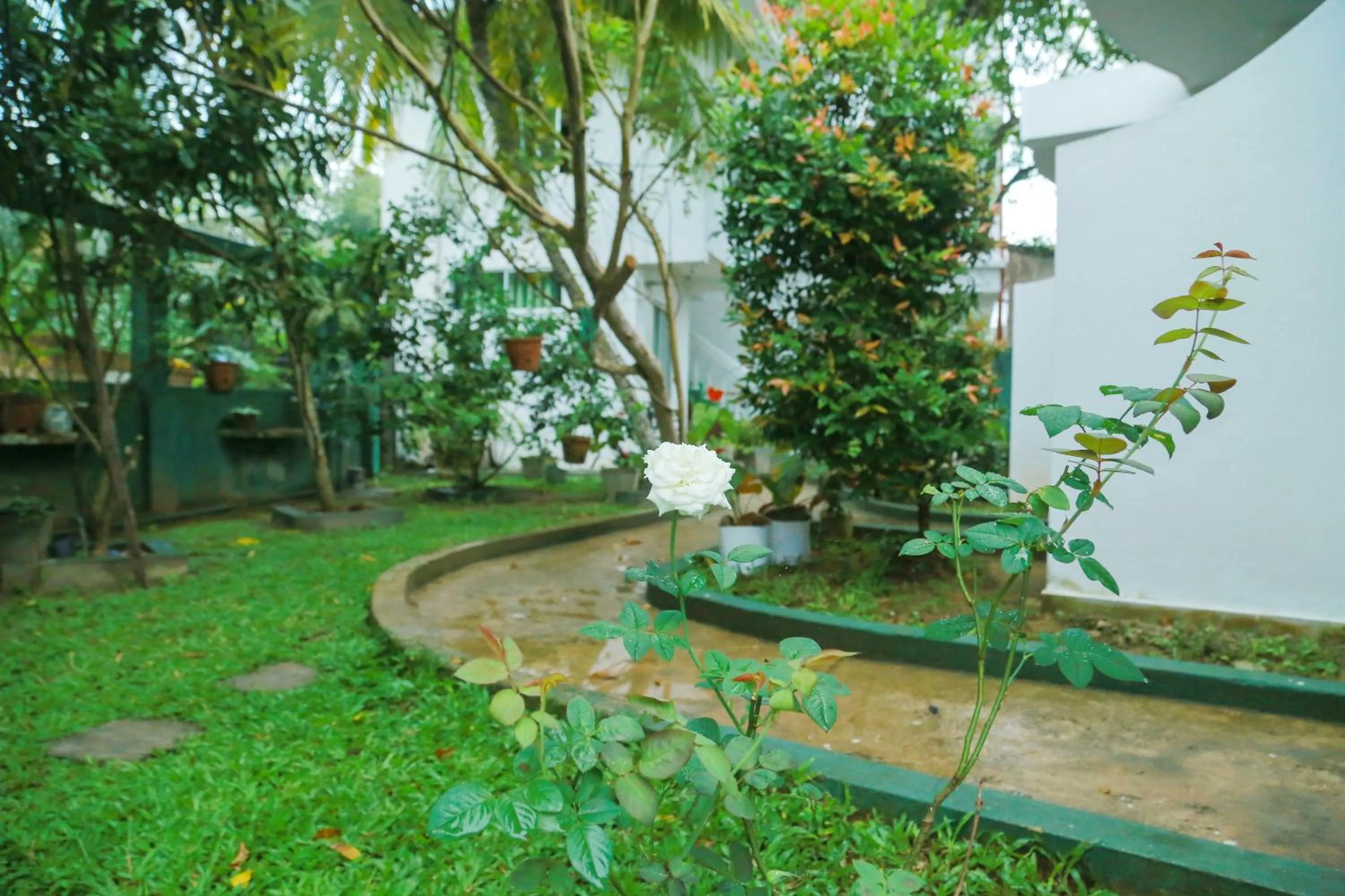 Garden in Suwa Arana Resort