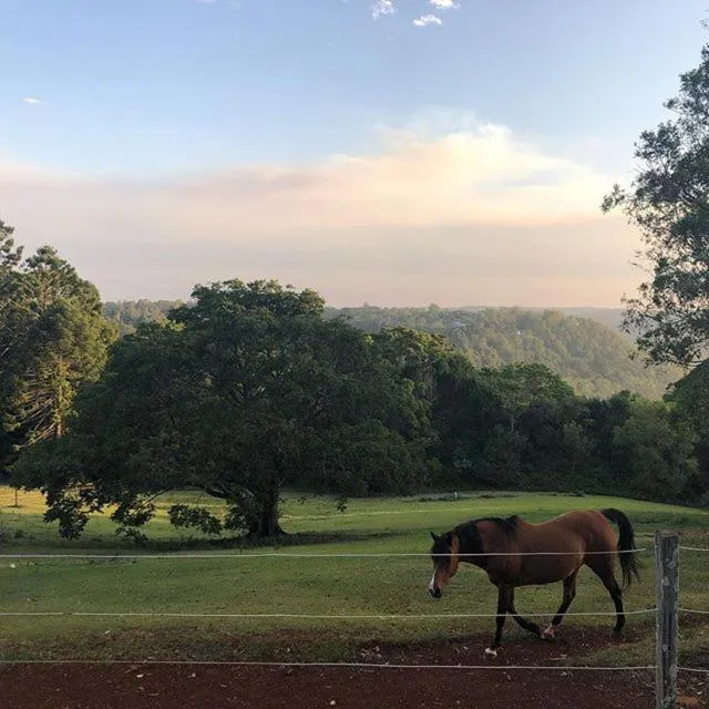 Montville Holiday Apartments