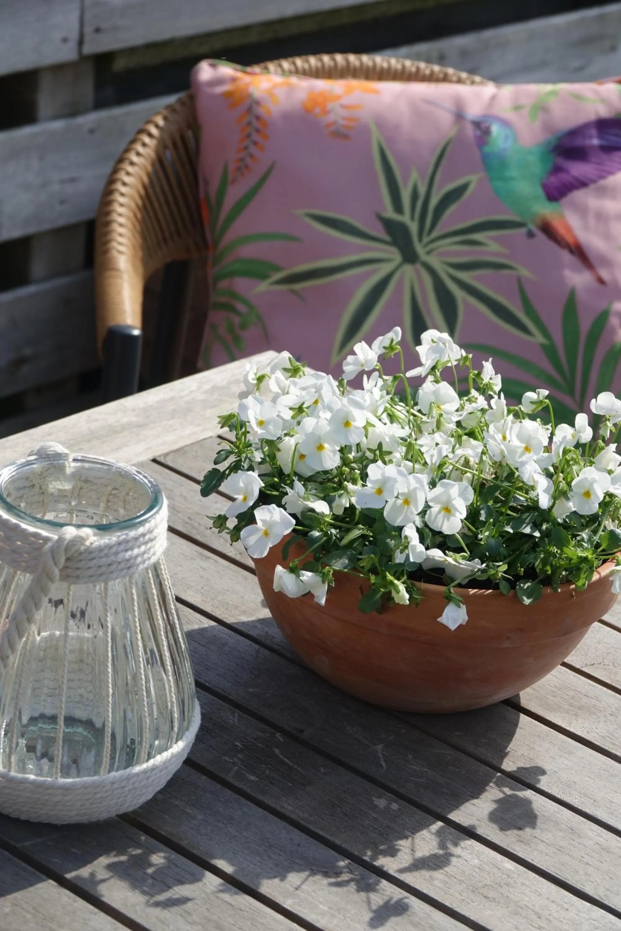 Balcony/Terrace in Hotel het Anker van Texel