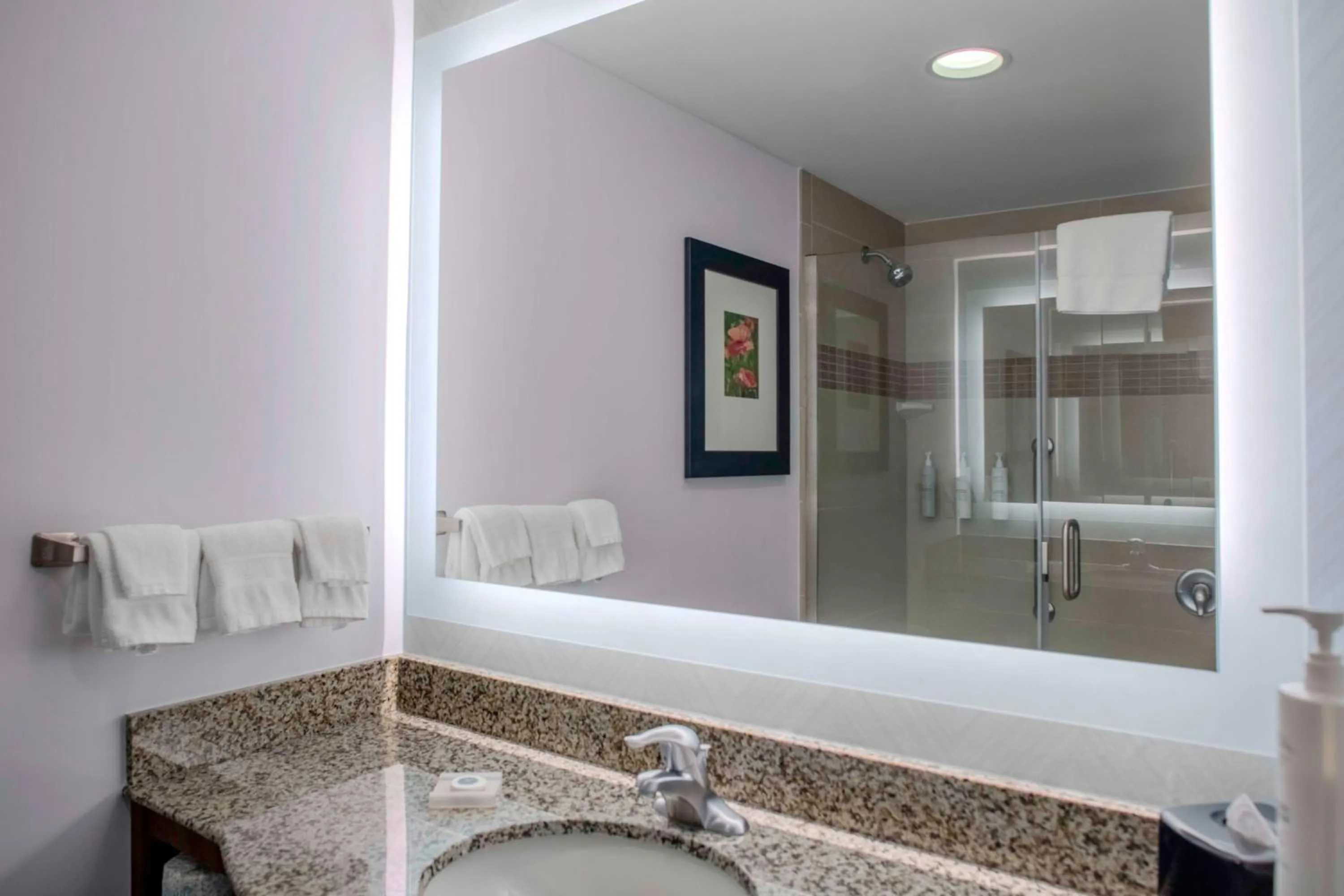 Bathroom in Hilton Garden Inn Charleston / Mt. Pleasant