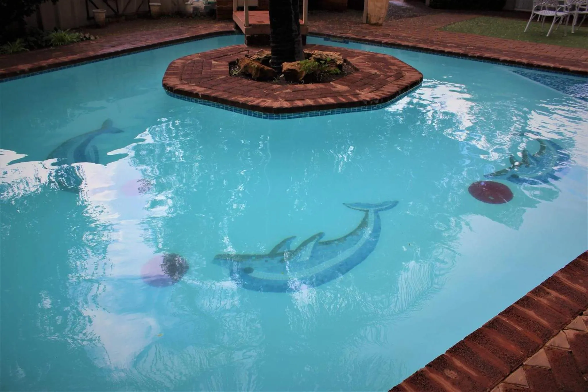 Swimming pool in Rusplek Guesthouse and Conference Centre