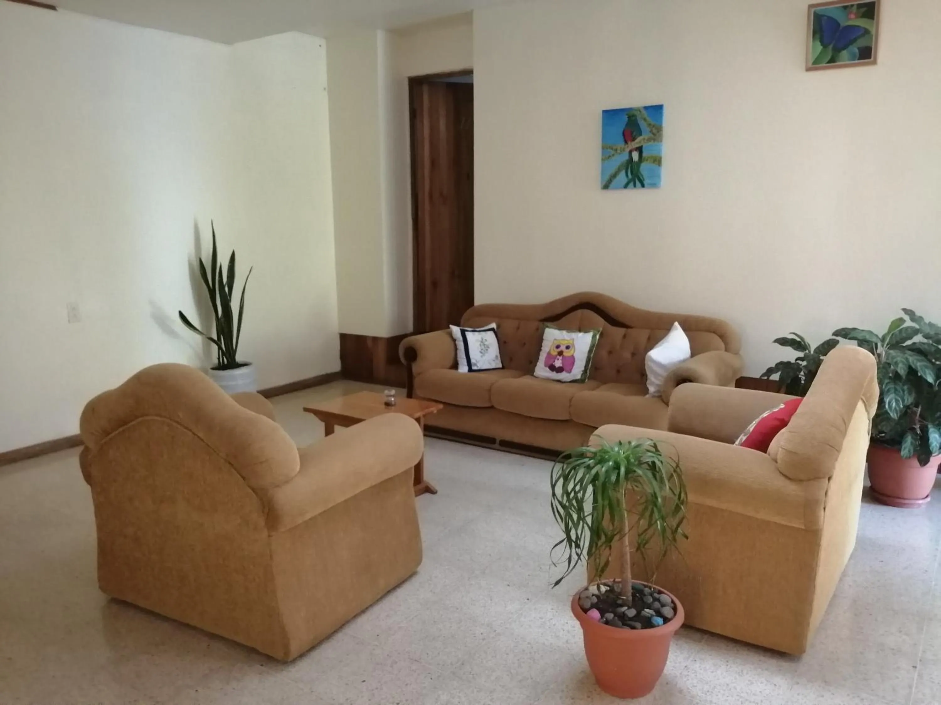 Seating area in Monte Los Lirios Lodge