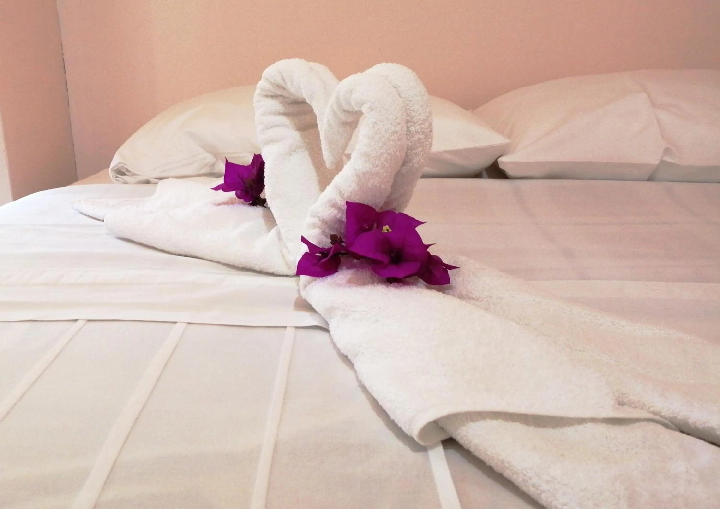 Bed in Monte Los Lirios Lodge