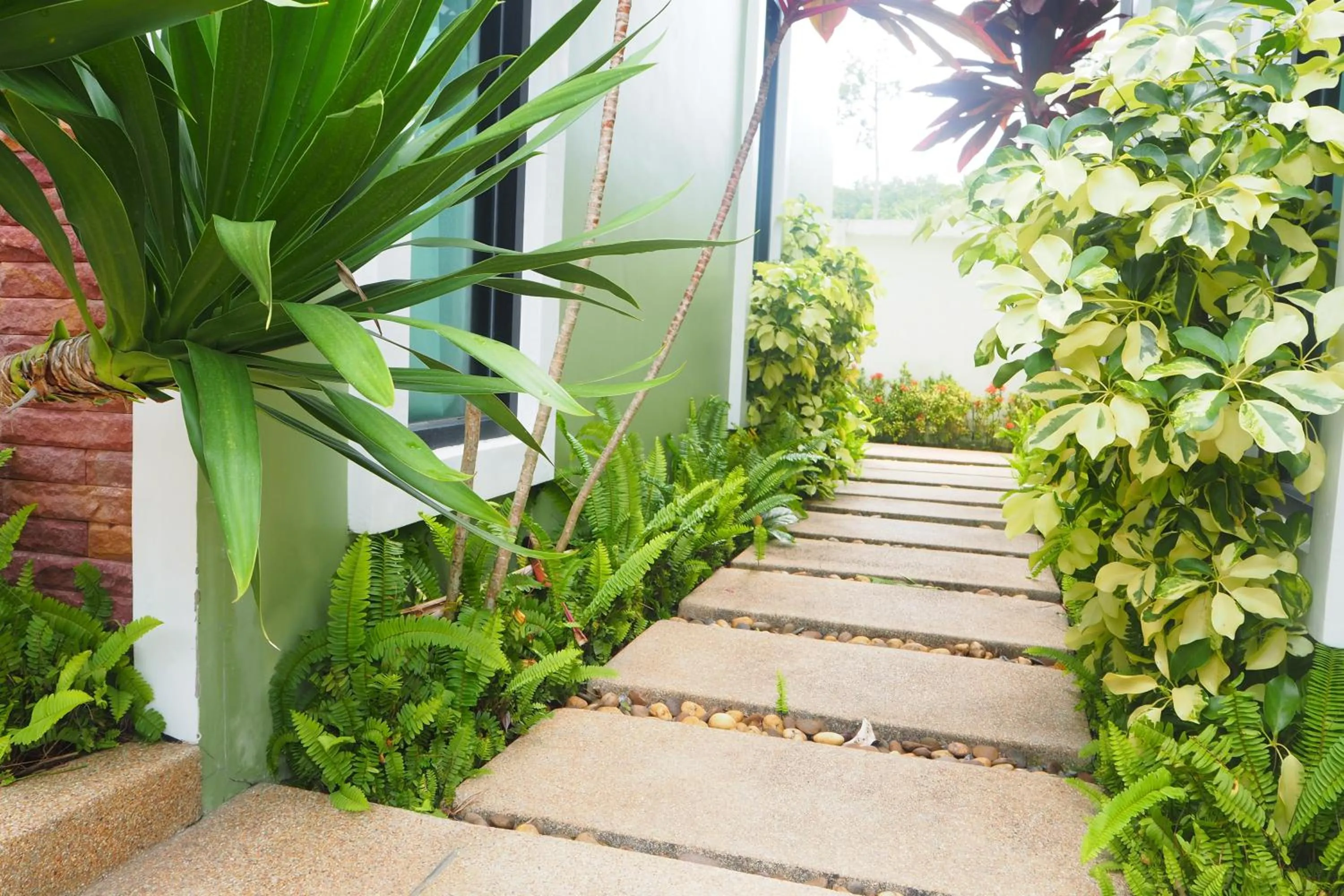 Natural landscape in Jinda Resort