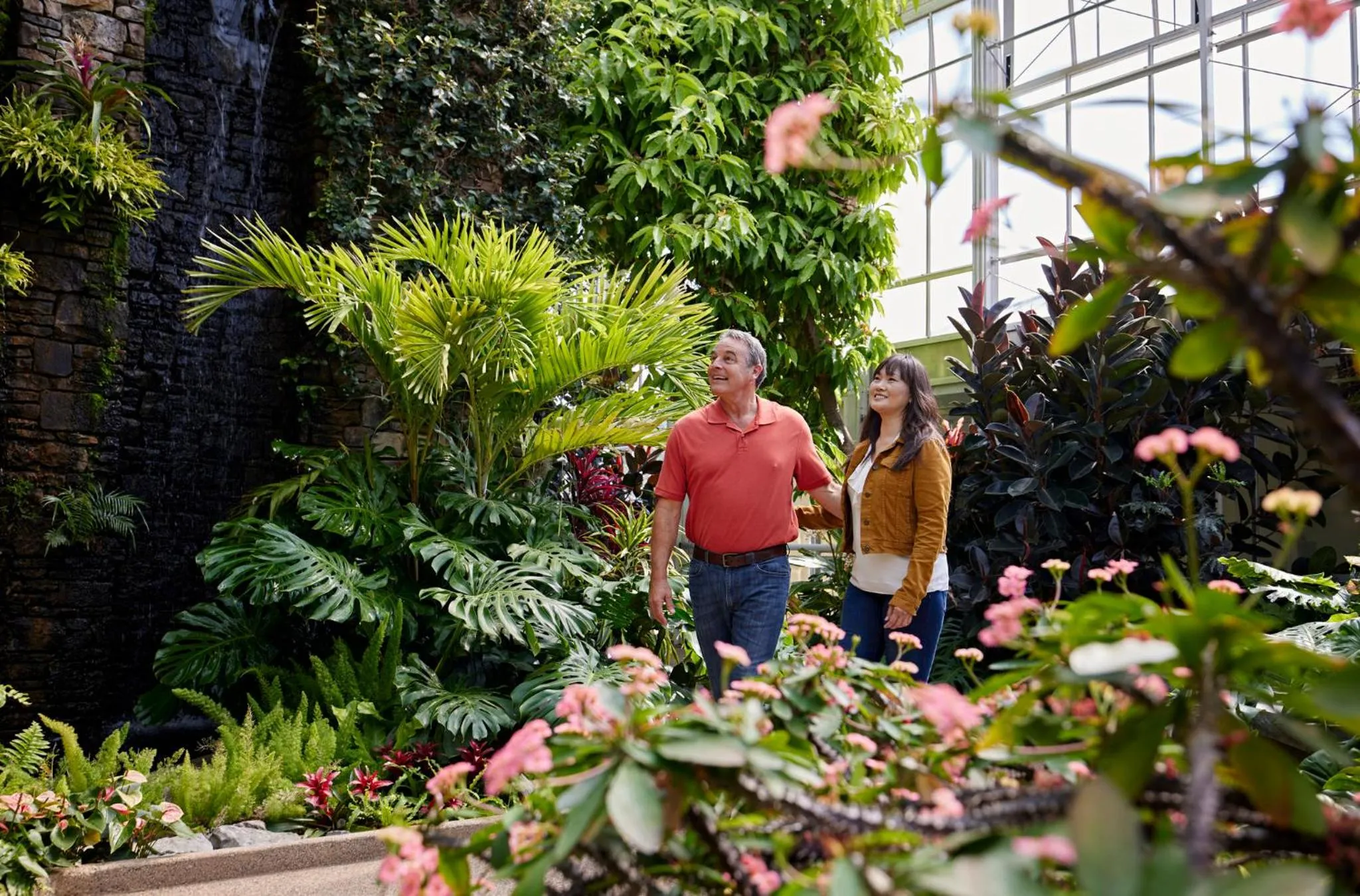 Area and facilities in Holiday Inn Express & Suites Charlotte North by IHG