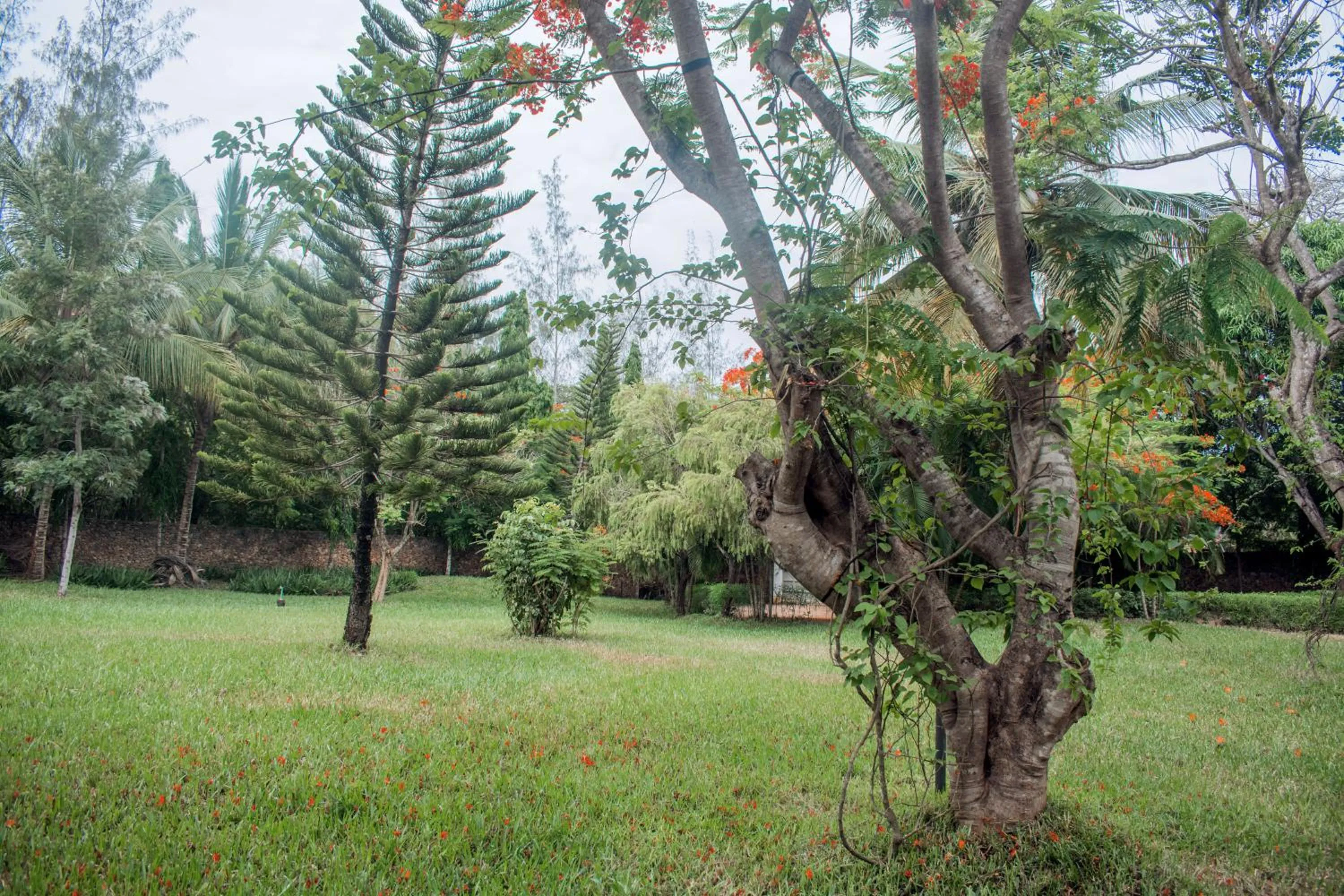 Kijani Cottages Diani Beach