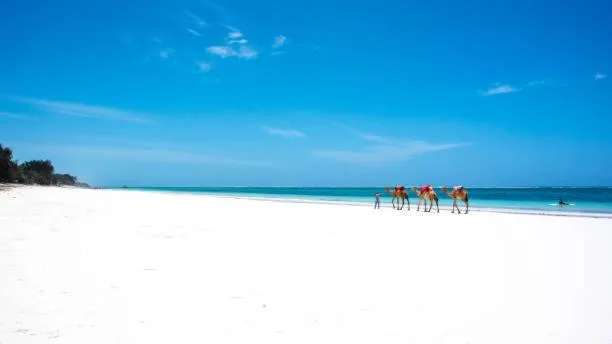 Kijani Cottages Diani Beach