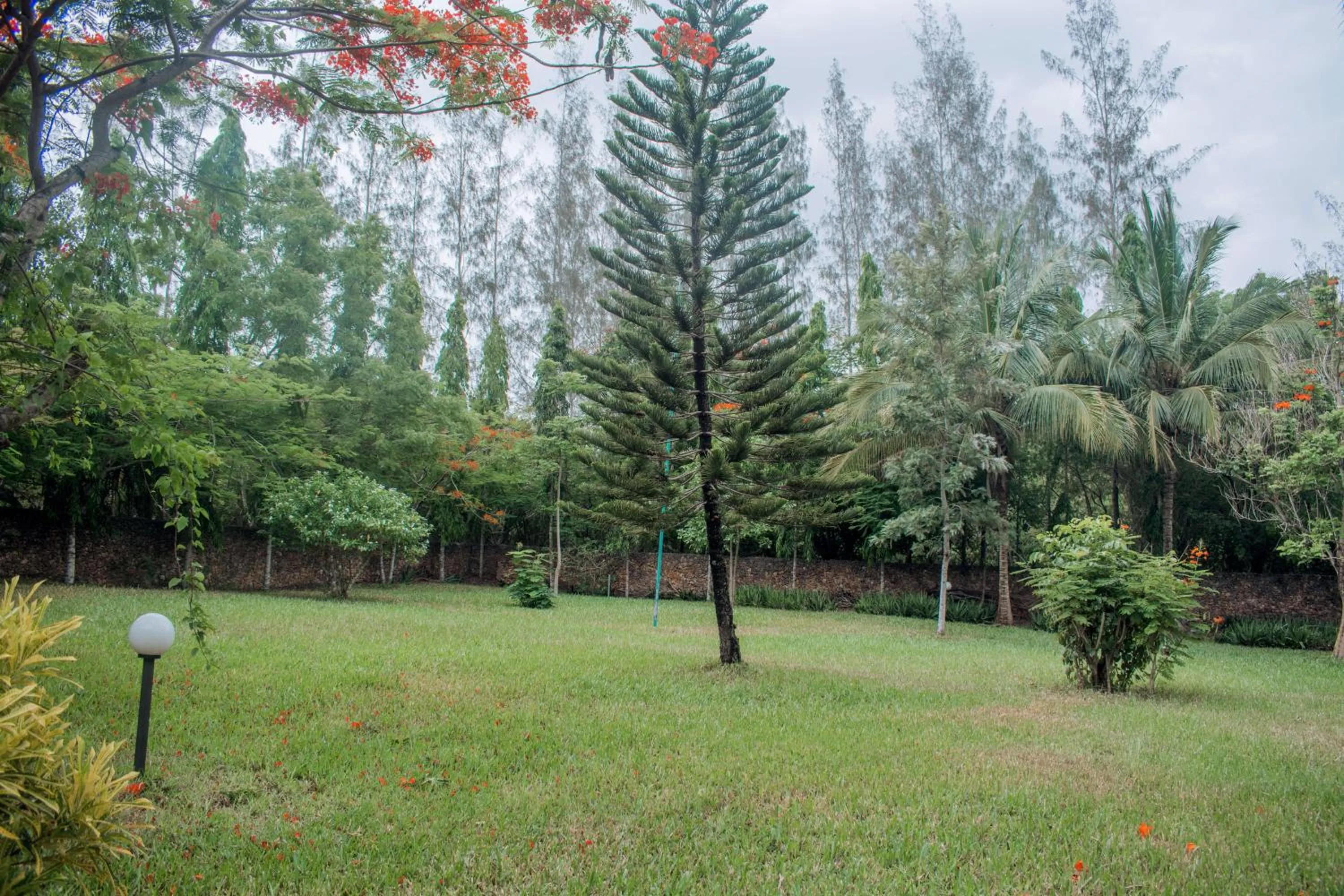 Kijani Cottages Diani Beach