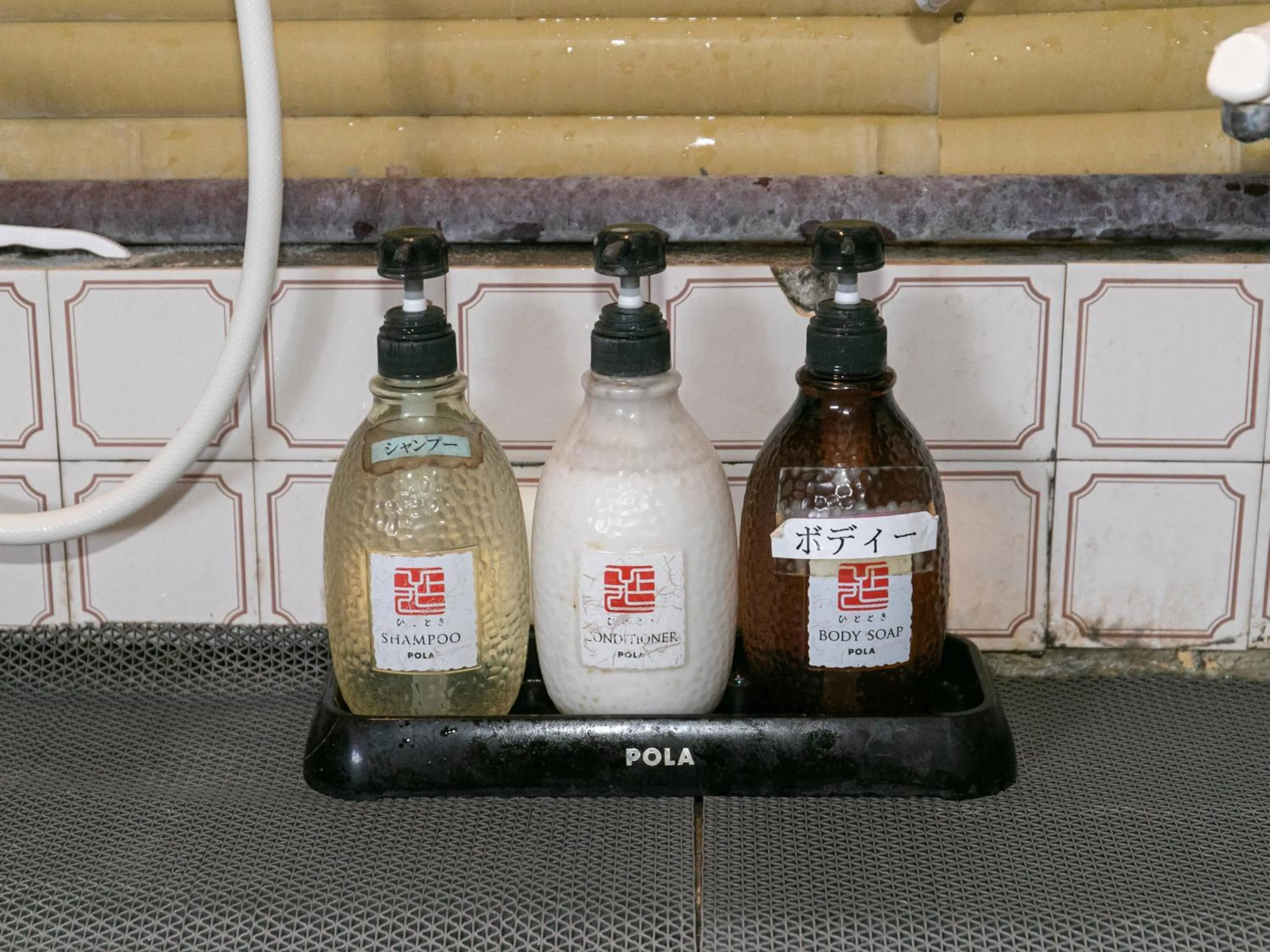 Public Bath in Hotel Hanagesiki